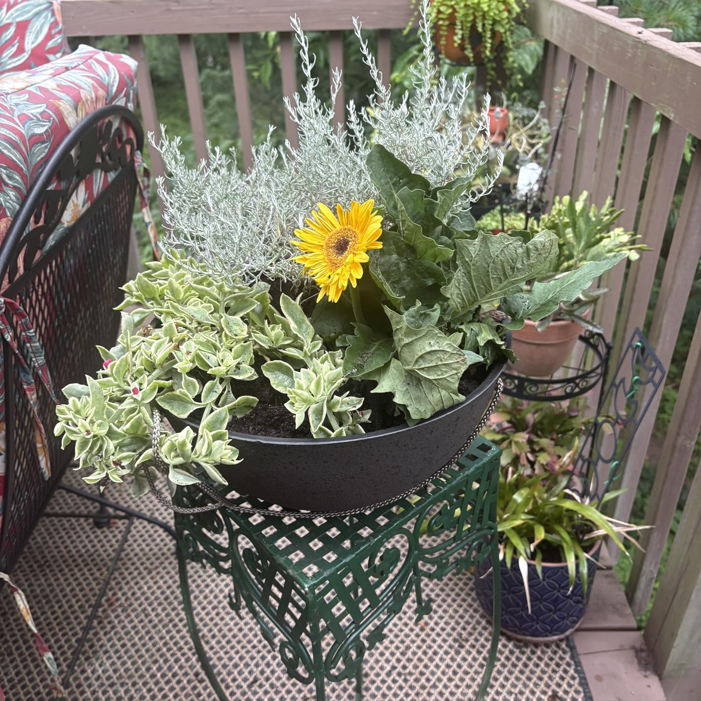 LA JOLIE MUSE Hanging Planter Baskets for Outdoor Plants, Set of 2, 13 Inch customer photo 1