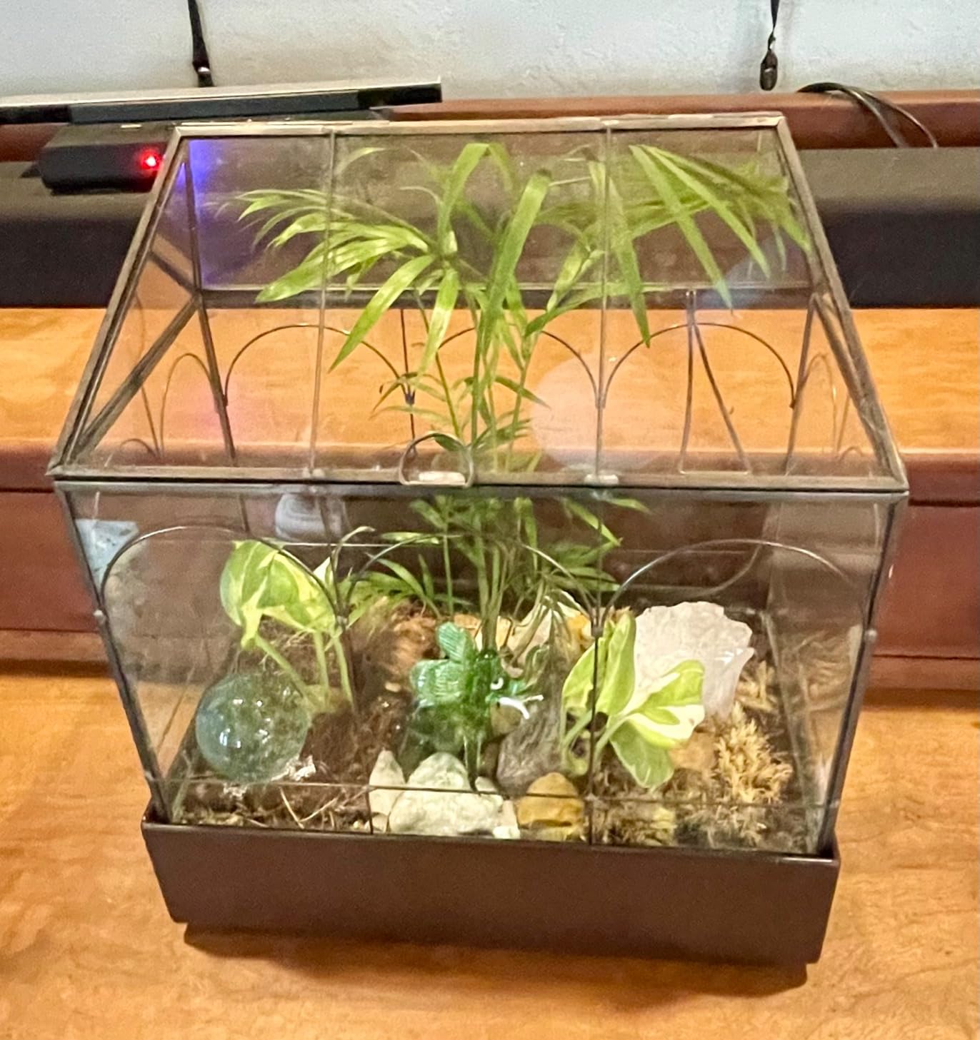 Large Tall Glass Plant Terrarium – House Succulent Terrarium Kit with Lip and Tray Glass Greenhouse Terrarium for Plant 9.5”X5.7”X11.4” customer photo 2