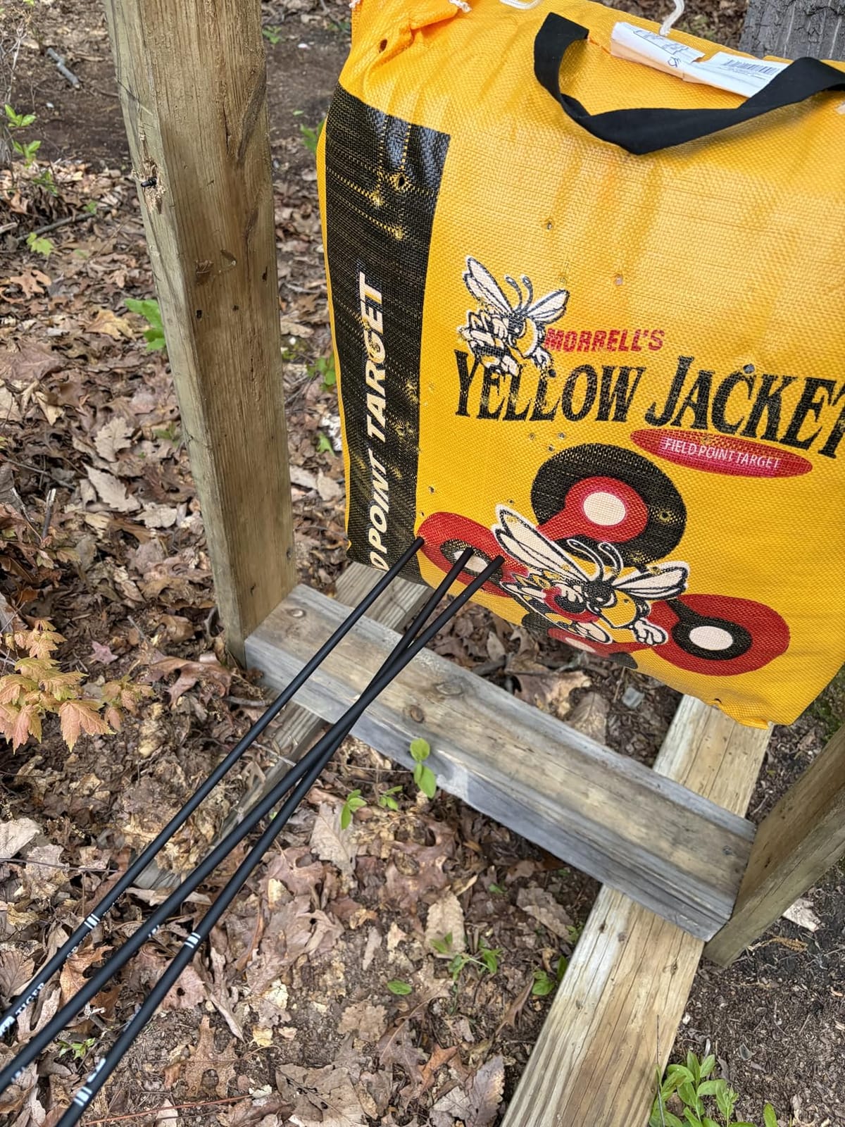 Sanlida Archery Dragon X8 RTH Compound Bow Package for Adults and Teens,18”-31” Draw Length,0-70 Lbs Draw Weight,up to IBO 310 fps,No Bow Press Needed,Limited Life-time Warranty,RH Only customer photo 2
