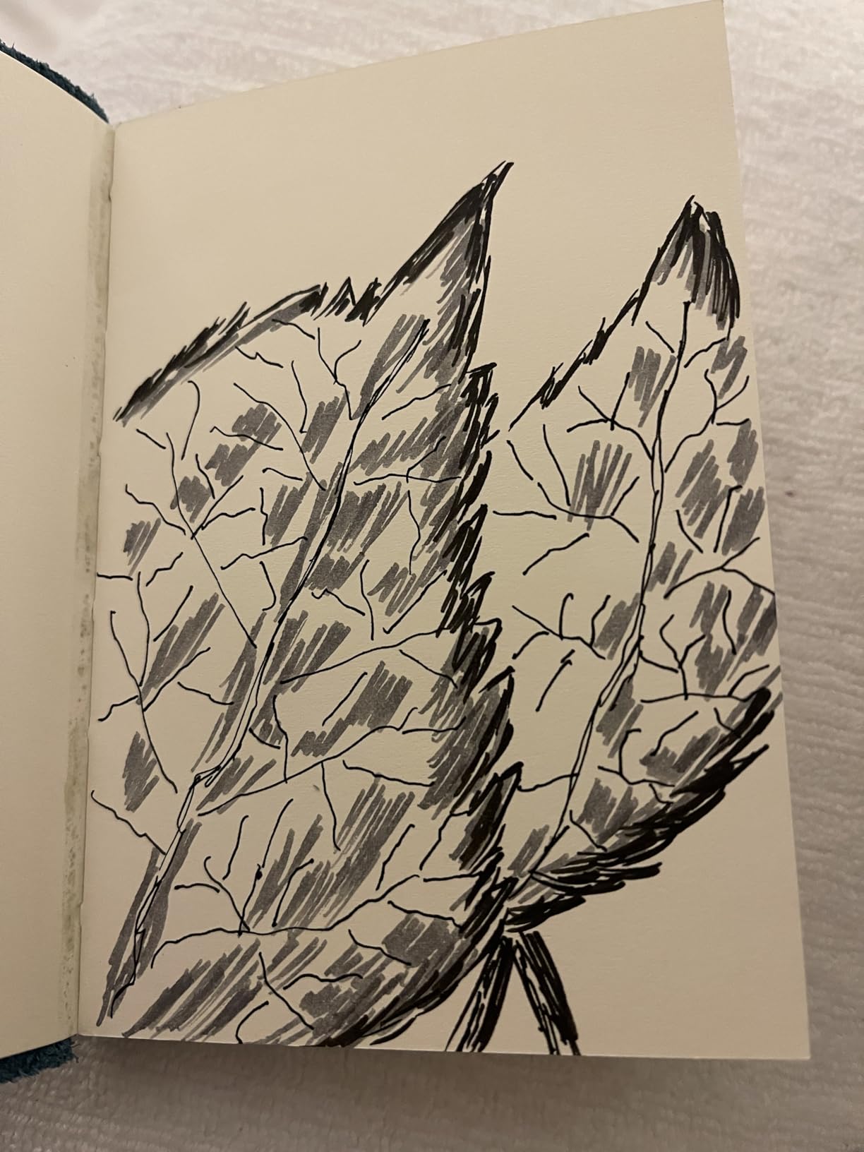 Kuretake Zig Inktober pen set, for Illustration, Manga Drawing, Lettering and Calligraphy, Professional Artist, Made in Japan (FUDEGOKOCHI(3pcs.)) customer photo 1