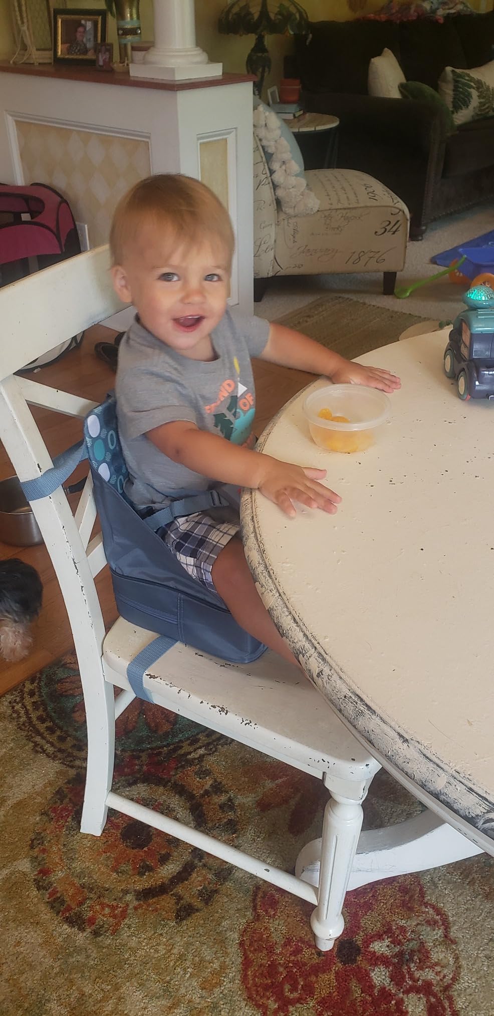 Nuby Easy Go Booster Seat for Kitchen Chair - Gray Chevron customer photo 2