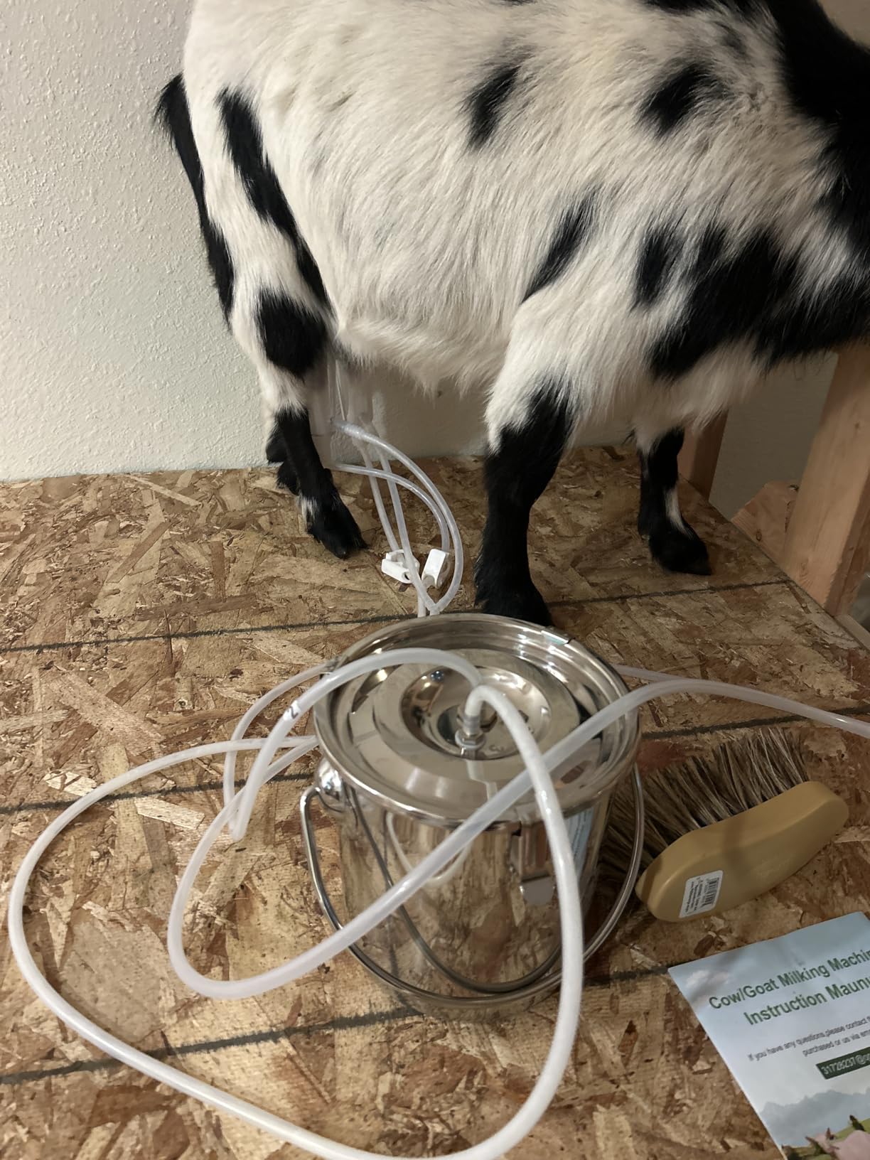3L Goat Pulsation Vacuum Electric Milking Machine with 2 Teat Cups customer photo 1