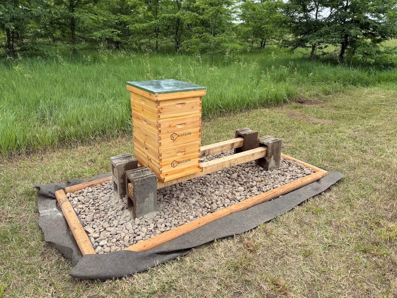 BeeCastle 10 Frame Langstroth Bee Hive Coated with Beeswax Includes Beehive Frames and Waxed Foundations (2 Deep Boxes & 1 Medium Box) customer photo 2