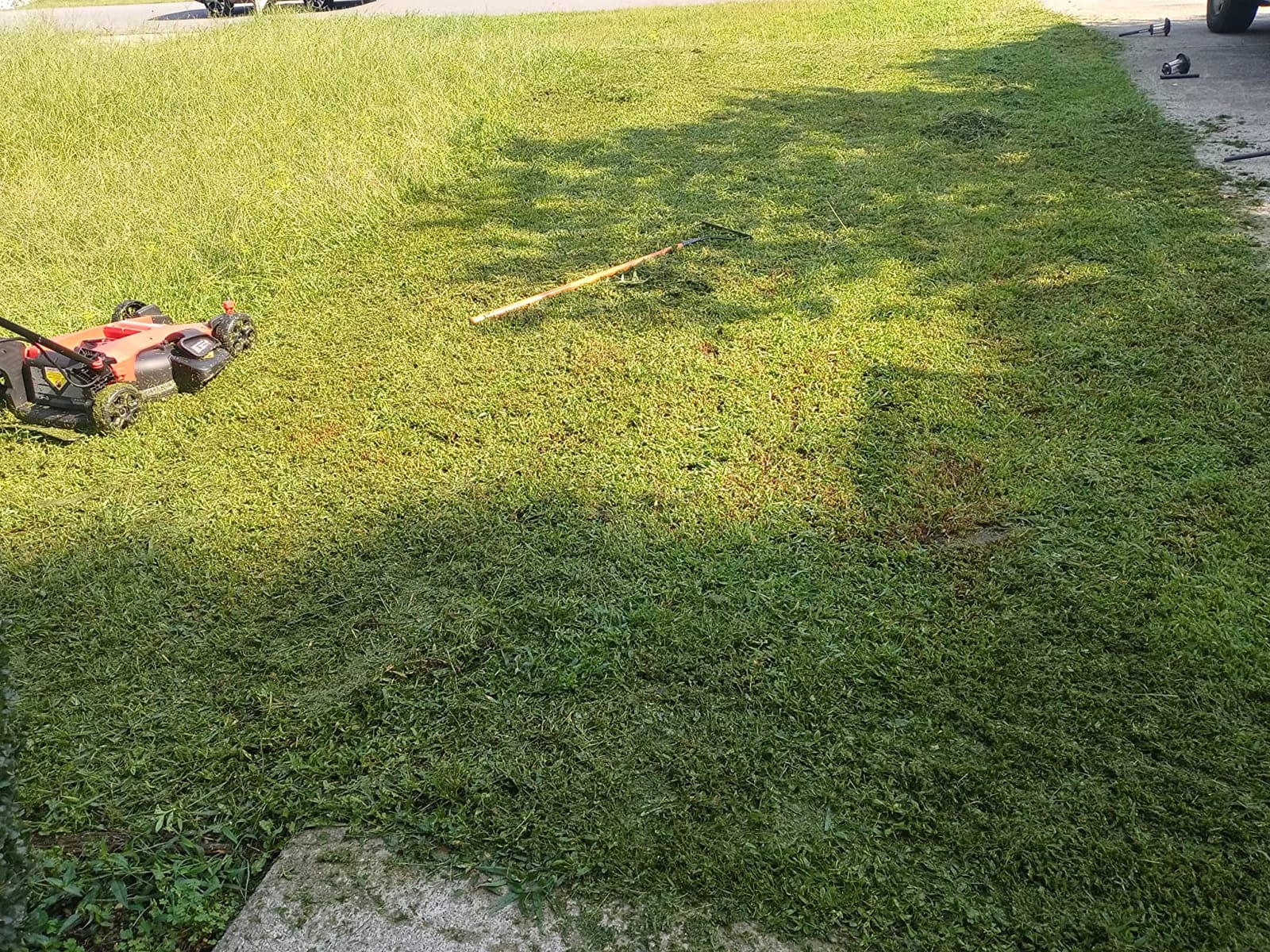 CRAFTSMAN V20 20 in Lawn Mower, 2 x 5Ah Batteries and 2 Chargers Included, High Effeciency Brushless Motor, Push Mower, Up to 50 Min of Runtime, Lightweight, Grass Bag, Low Profile (CMCMW220P2) customer photo 1