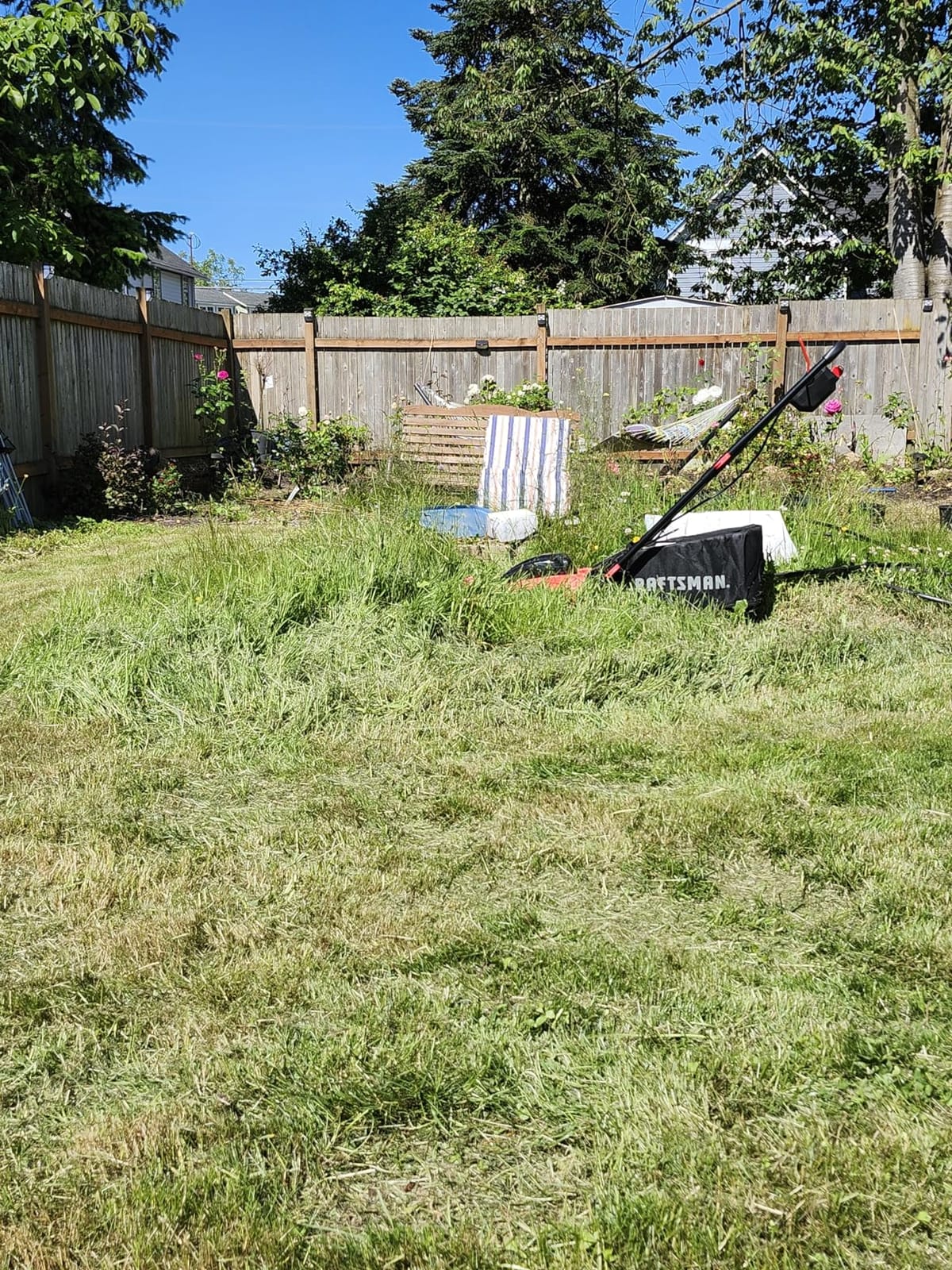 CRAFTSMAN V20 20 in Lawn Mower, 2 x 5Ah Batteries and 2 Chargers Included, High Effeciency Brushless Motor, Push Mower, Up to 50 Min of Runtime, Lightweight, Grass Bag, Low Profile (CMCMW220P2) customer photo 2