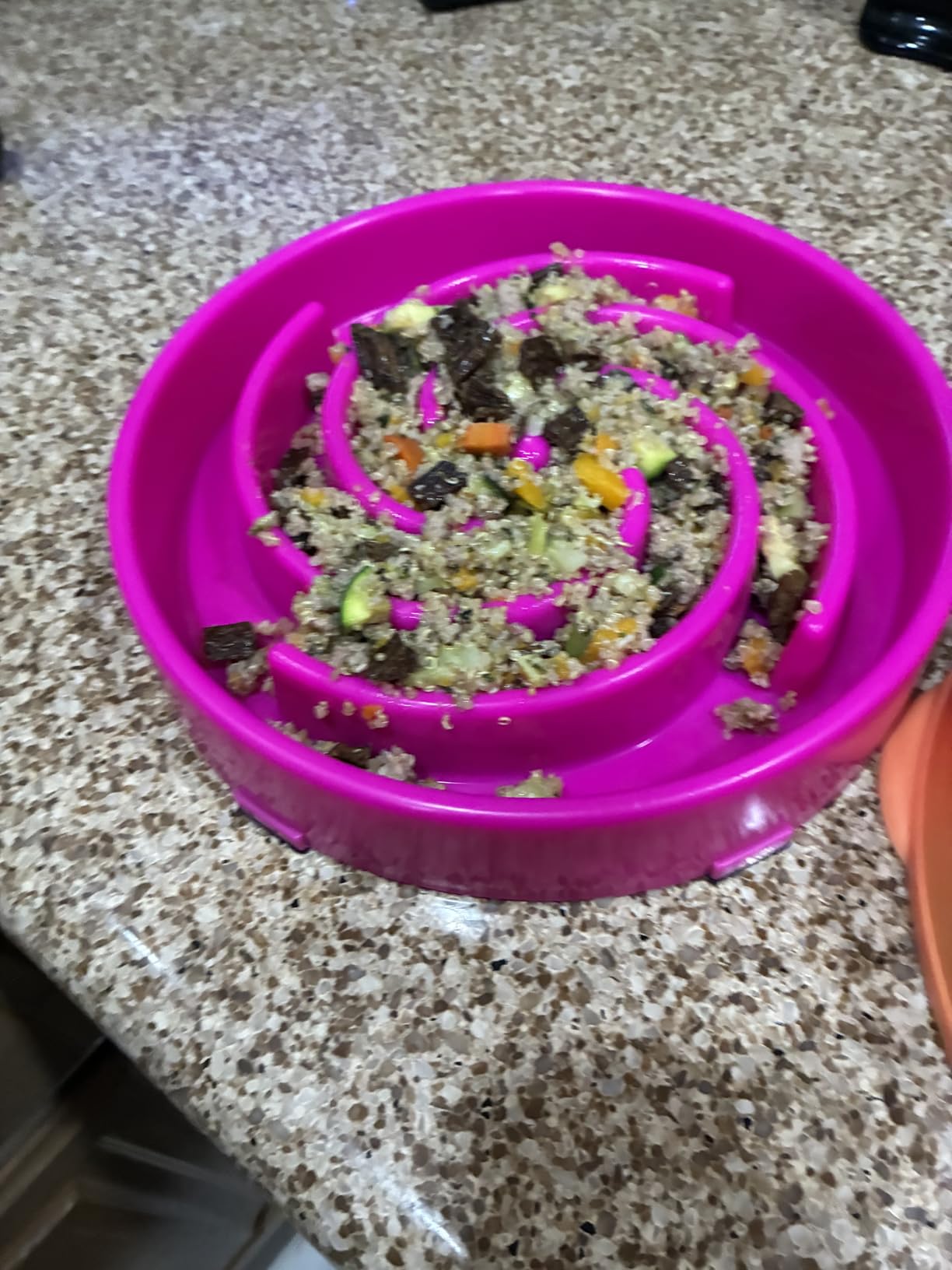 JASGOOD Slow Feeder Dogs Bowl for Large Medium Dogs,Anti-Gulping Pet Slower Food Feeding Bowls Stop Bloat,Preventing Choking customer photo 2