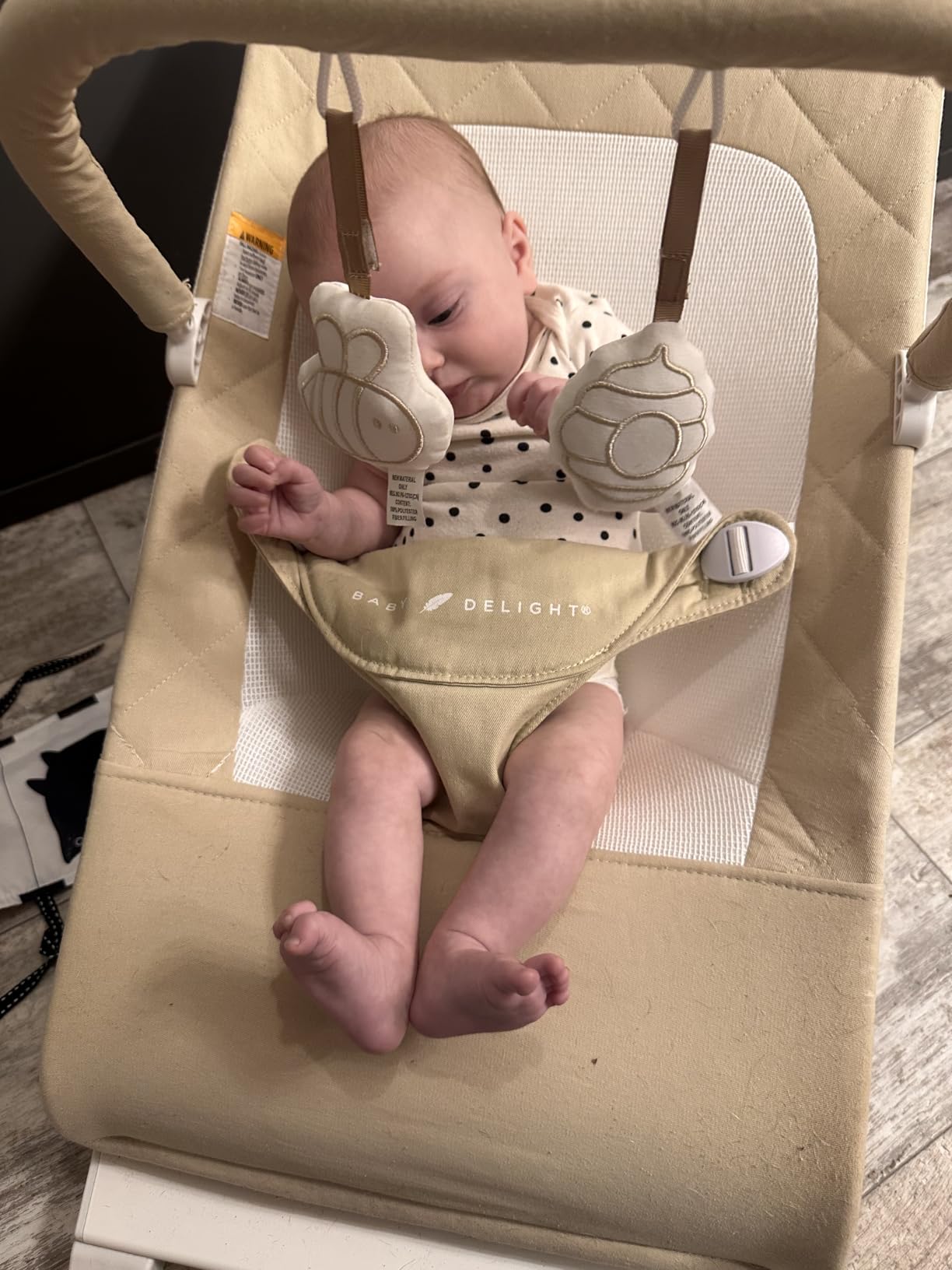 Baby Delight Alpine Deluxe Portable Bouncer, Infant, 0-6 Months, 100% GOTS Certified Cotton Fabrics, Organic Oat customer photo 2