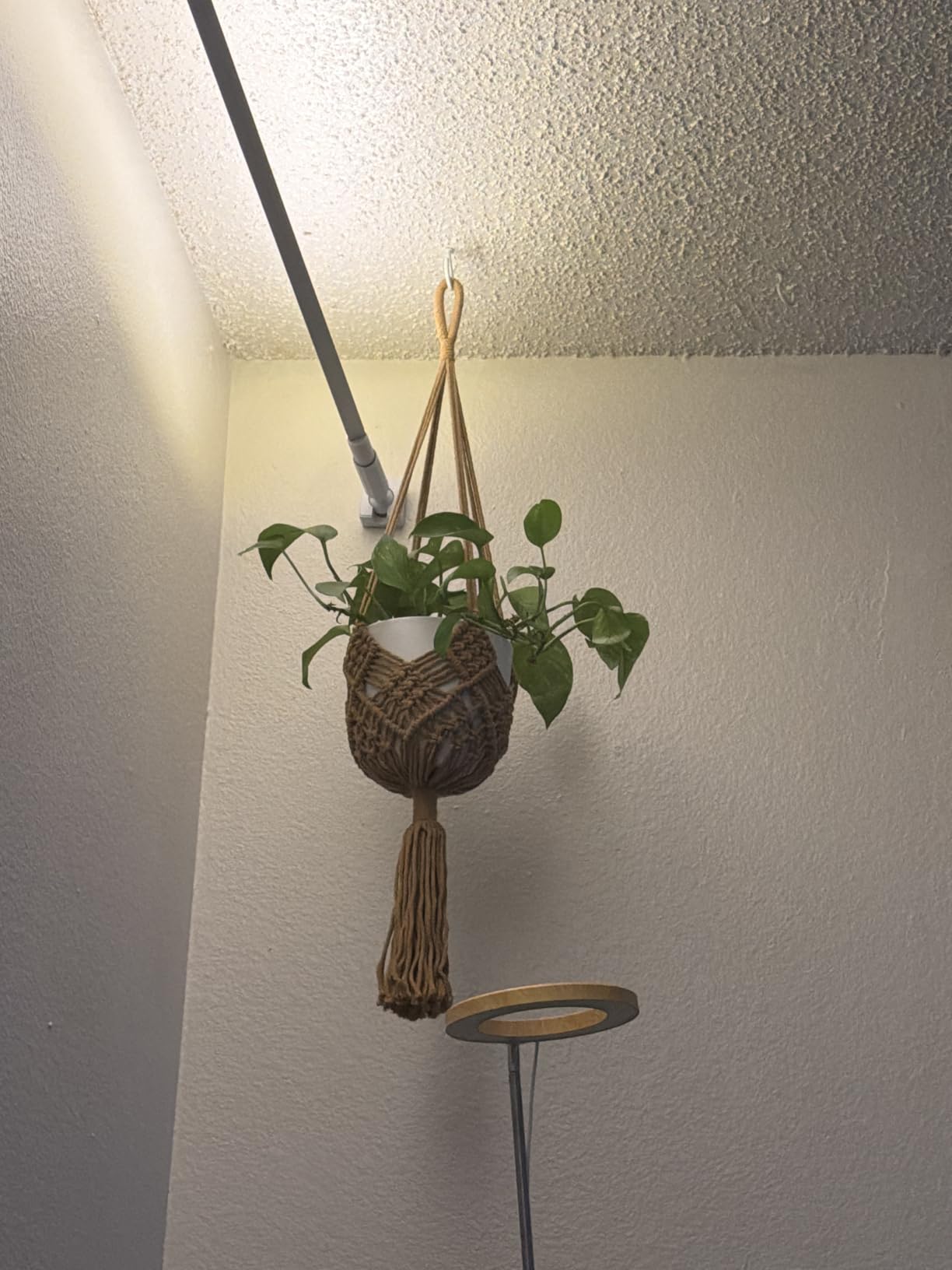 Nook Theory 4-Pack Macrame Plant Hangers with 8 Hooks - Hanging Planters for Indoor Plants, Boho Macrame Hangers Indoor Outdoor, Decorative Plant Hanger Indoor (Cream) customer photo 1
