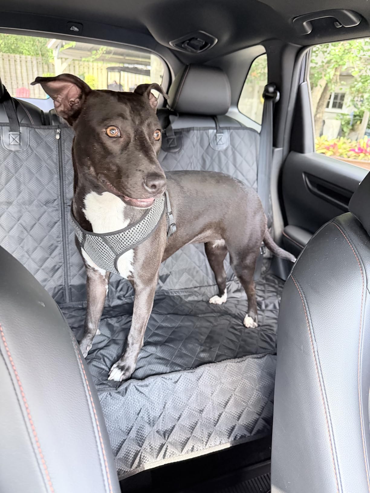 ANOSOSPECIAL Dog Car Seat Cover for Back Seat Cover,Non Stick Fur Rear Seat Protector for Pet,Nonslip Waterproof Durable Universal Fit Interior Backseat Covers for Auto Van SUV customer photo 2