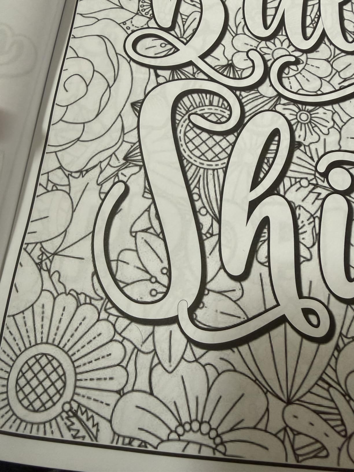 Adult Swear Words Coloring Book: Live, Laugh, Fuck Off: Swear Words Colouring Book for Adults | Sweary Coloring Book for Stress Relief and Relaxation | Adult Coloring Book Cuss Words customer photo 2
