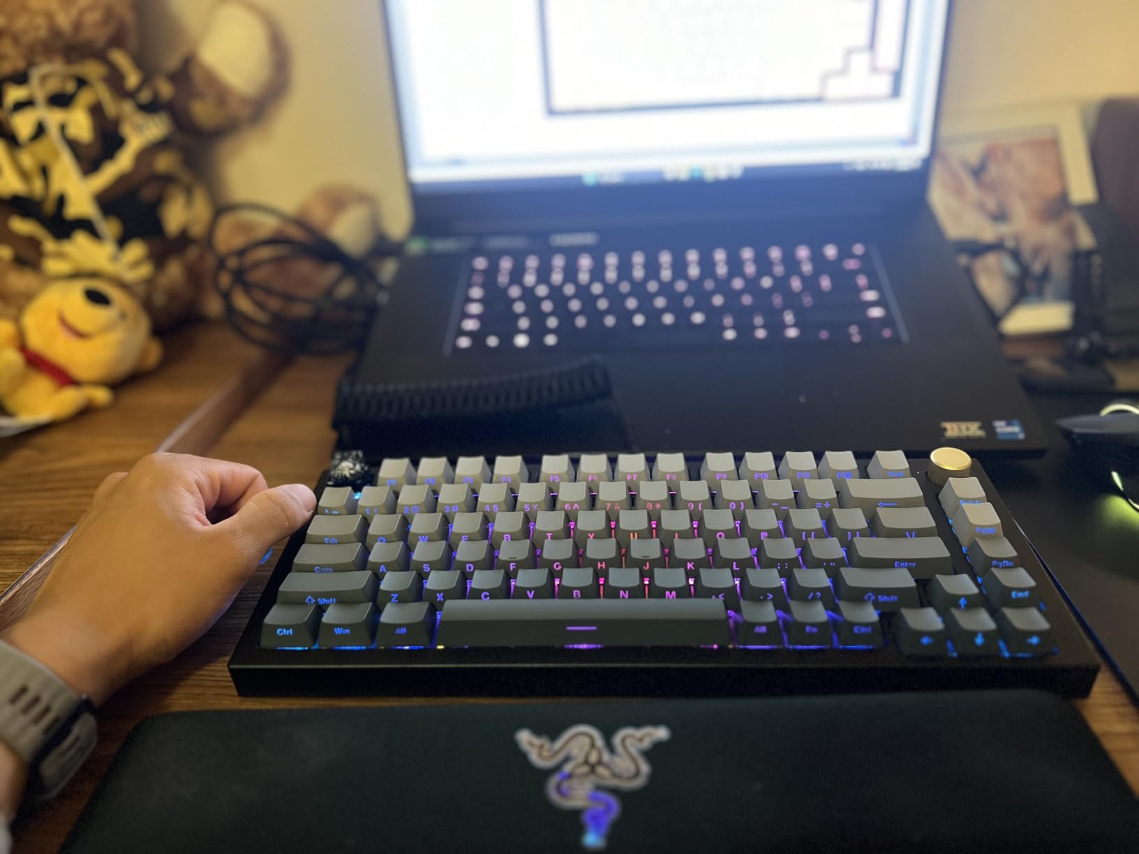 GLORIOUS Gaming GMMK PRO 75% Barebones Black (Frame Only) - Modular Mechanical Gaming Keyboard, TKL Size (75%), 3.3lb Frame, RGB, Fully Customisable, 5-Pin Switch Support customer photo 2