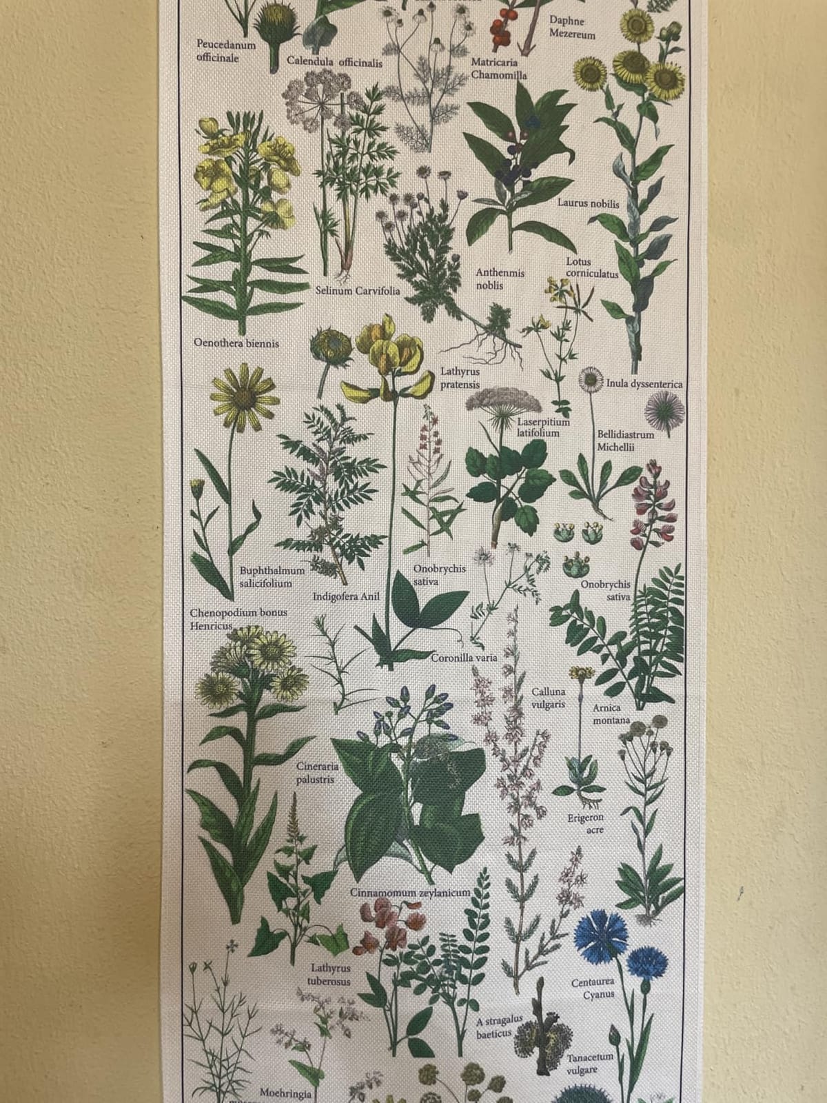 Tegeme Vintage Tapestry 52'' x 13'' Long Vertical Wall Hanging (Flower) customer photo 1
