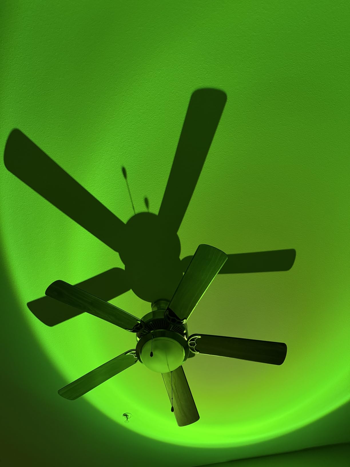 Bavcieu Sunset Lamp Projector with Remote & APP, Multicolor Night Light customer photo 1