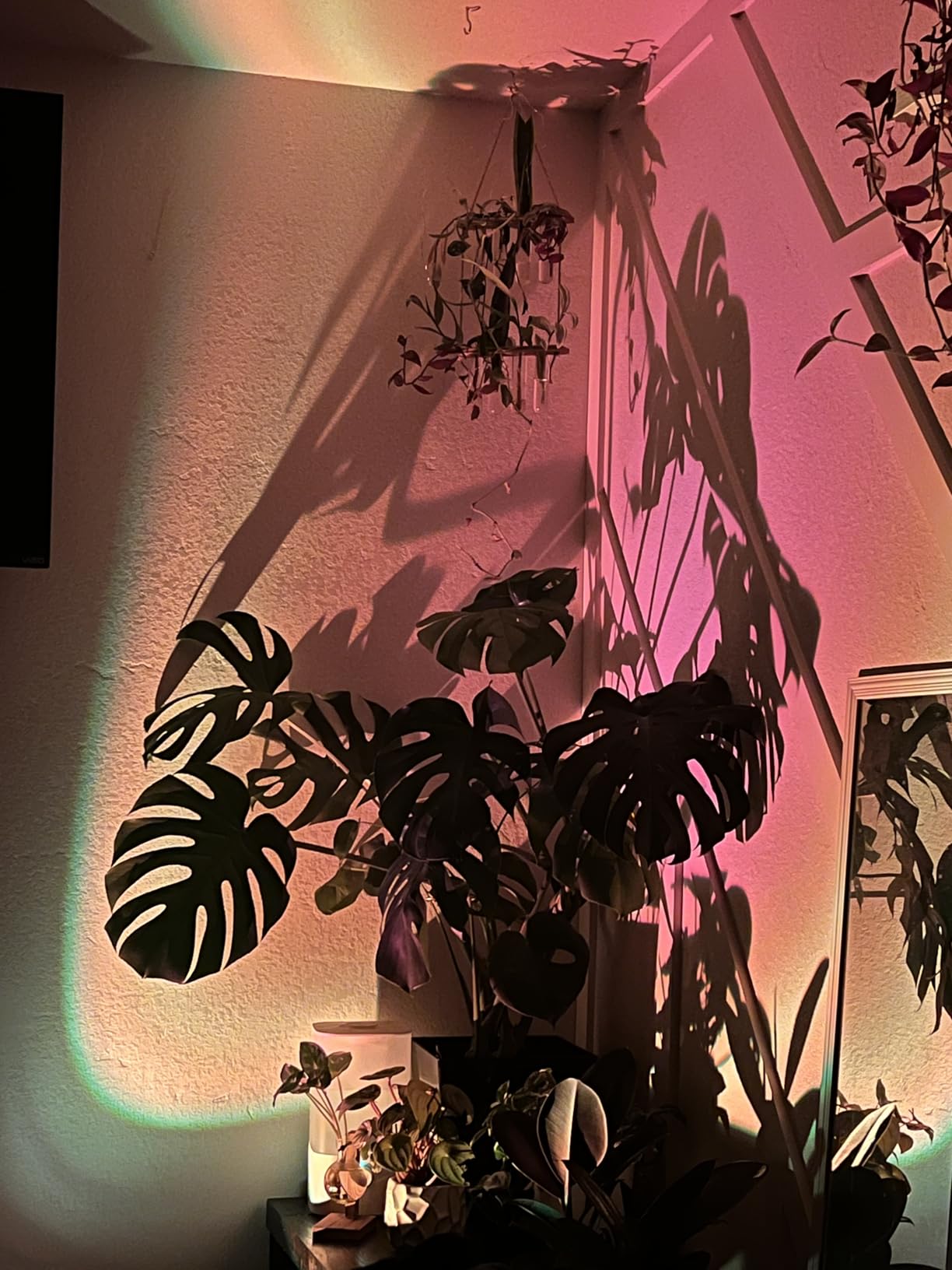 Bavcieu Sunset Lamp Projector with Remote & APP, Multicolor Night Light customer photo 2