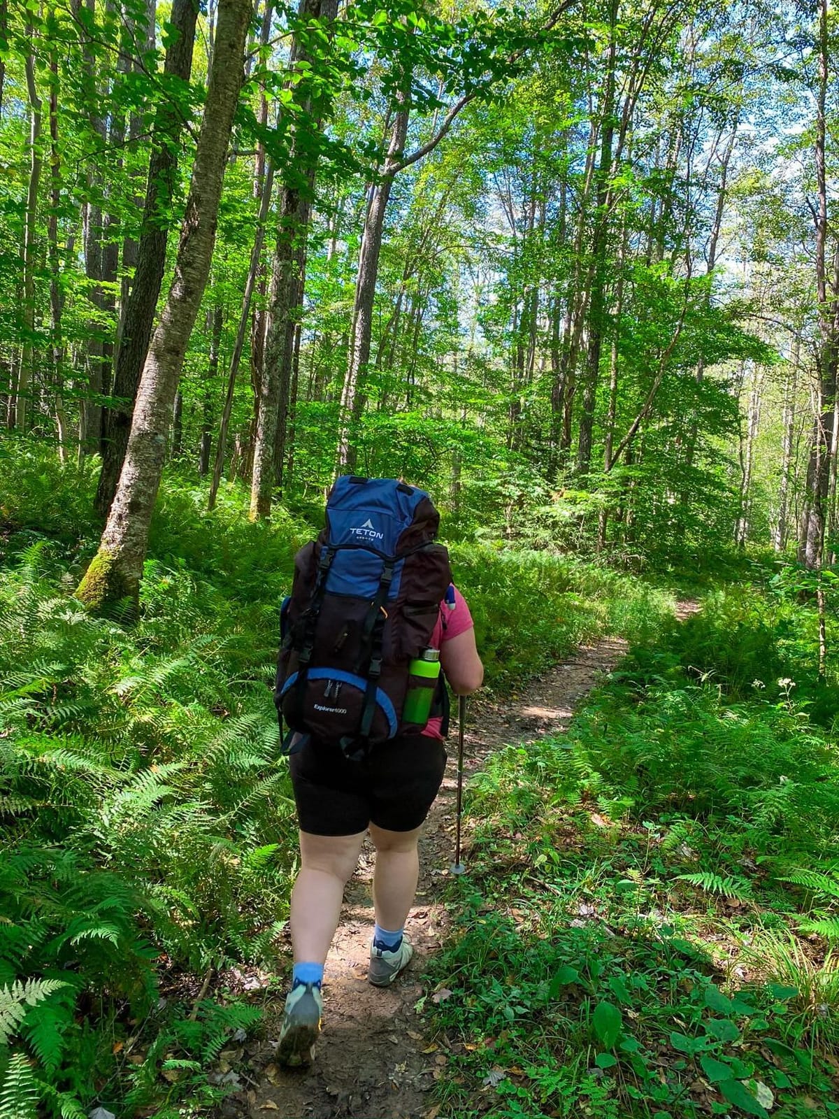 Teton 65L Explorer Internal Frame Backpack for Hiking, Camping, Backpacking, Rain Cover Included, Olive customer photo 1