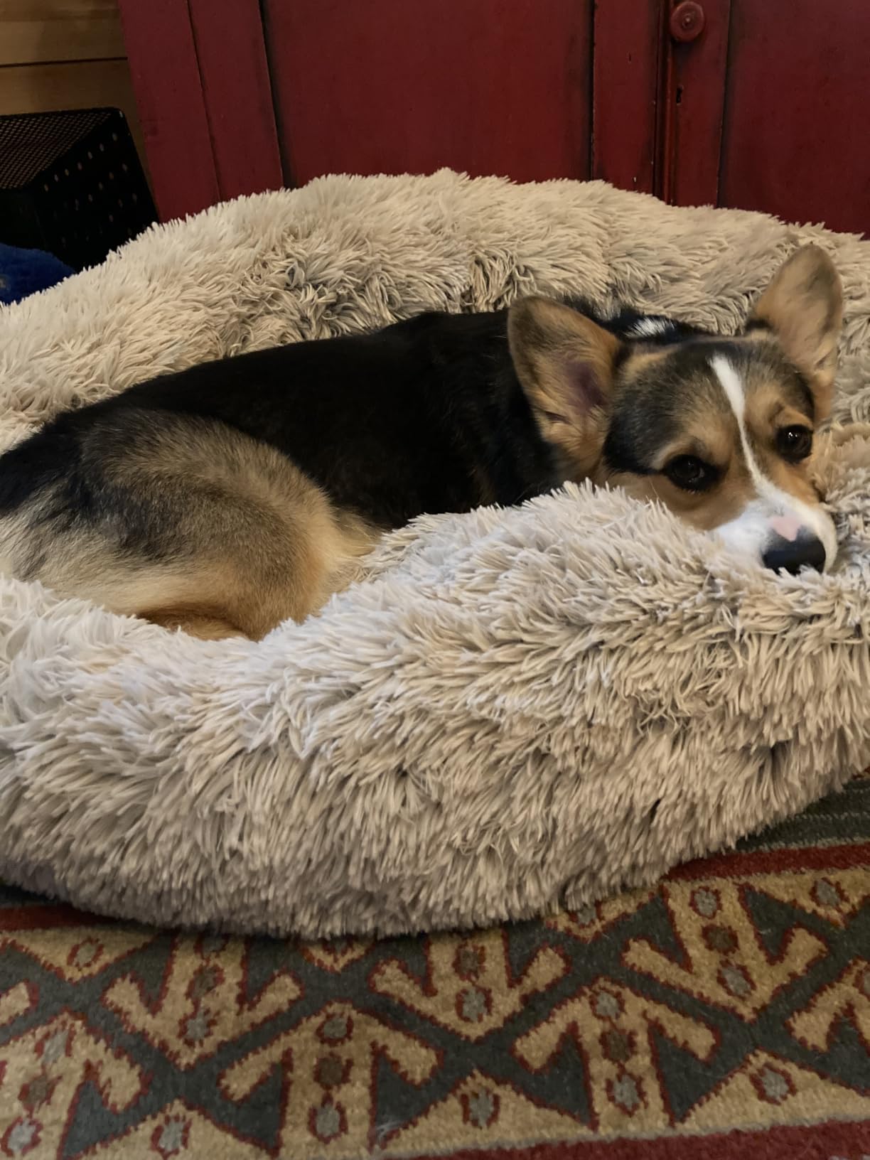 Best Friends by Sheri Original Calming Donut Dog Bed, Mink Gray, 30