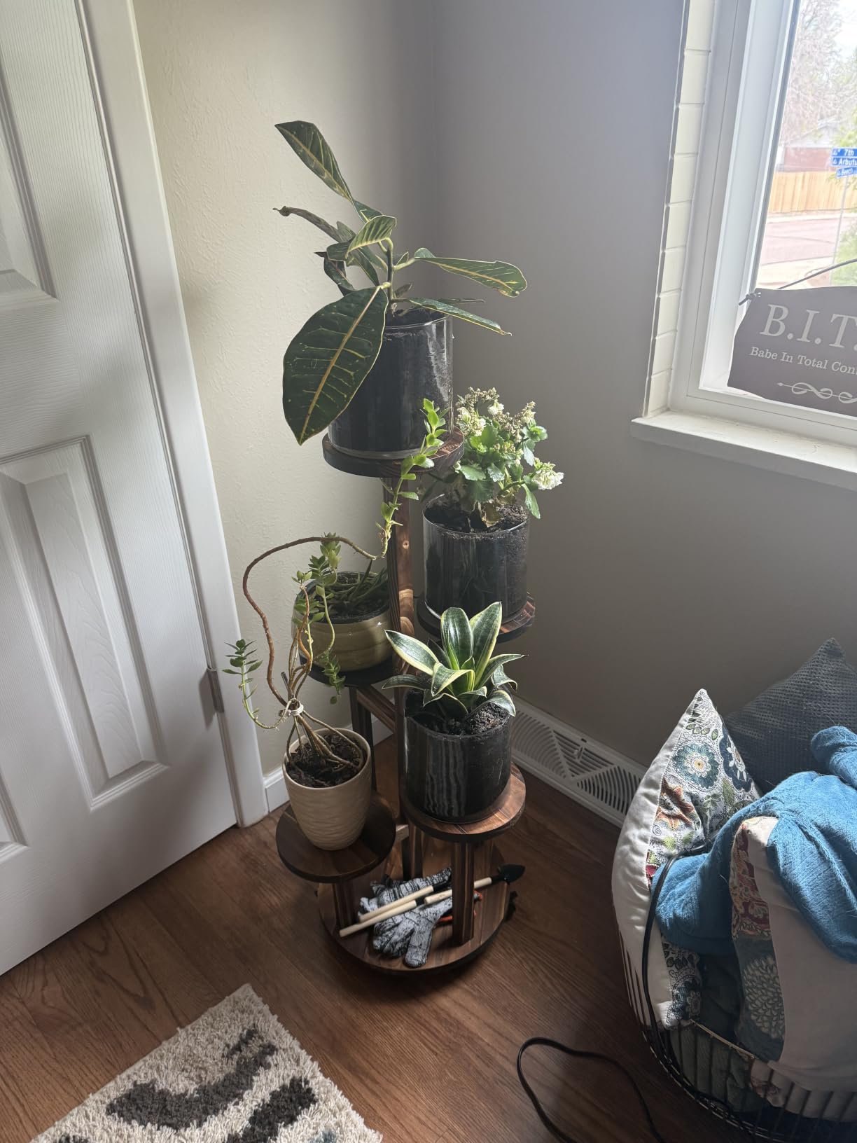GEEBOBO 5 Tiered Tall Plant Stand for Indoor customer photo 1
