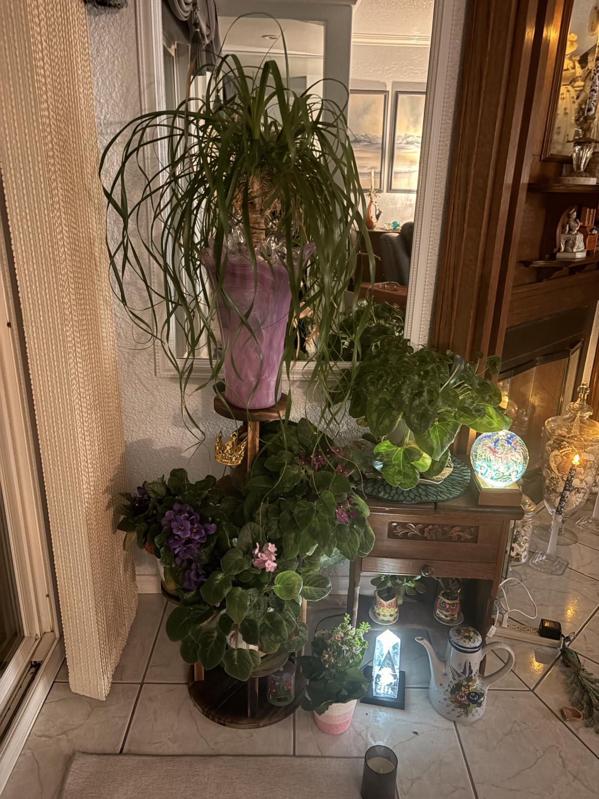 GEEBOBO 5 Tiered Tall Plant Stand for Indoor customer photo 2