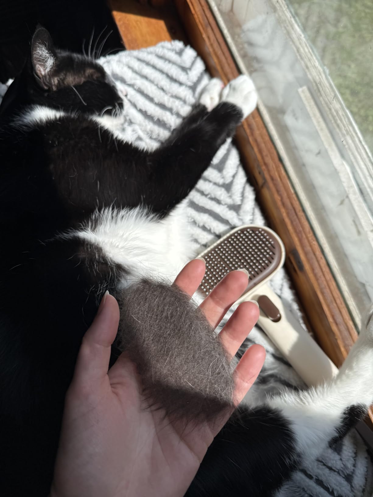 Aumuca Skin Friendly Self-Cleaning Slicker Brush for Dogs & Cats, Gentle Pet Grooming Tool for Shedding & Deshedding, Efficient Hair Remover for Long & Short Haired Pets customer photo 2