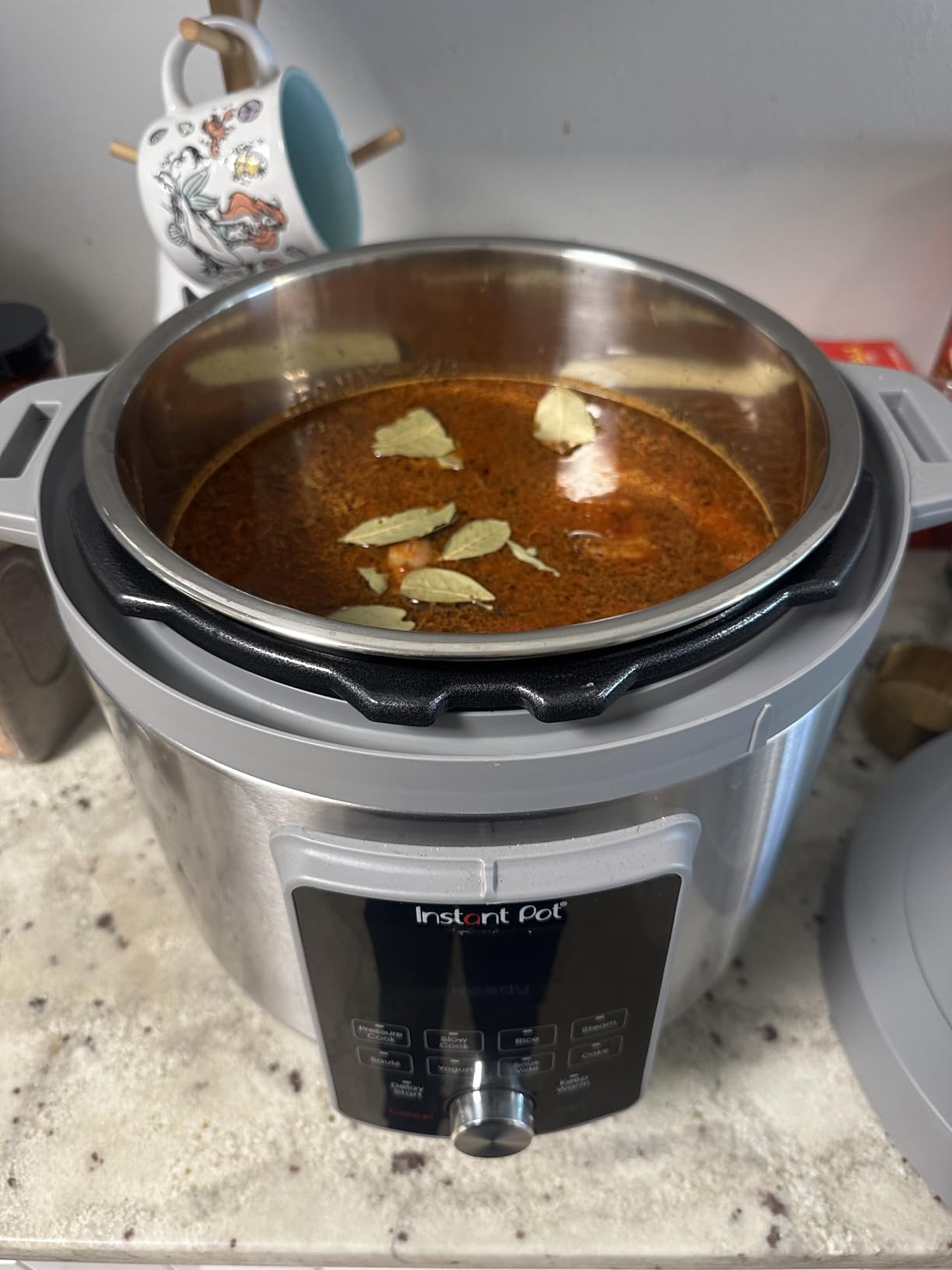 Instant Pot 8-Quart Whisper Quiet 9-in-1 Electric Pressure Cooker, Slow Rice Cooker, Steamer, Sauté, Yogurt Maker, Warmer & Sterilizer, App With Over 800 Recipes, Stainless Steel, Duo Plus customer photo 2