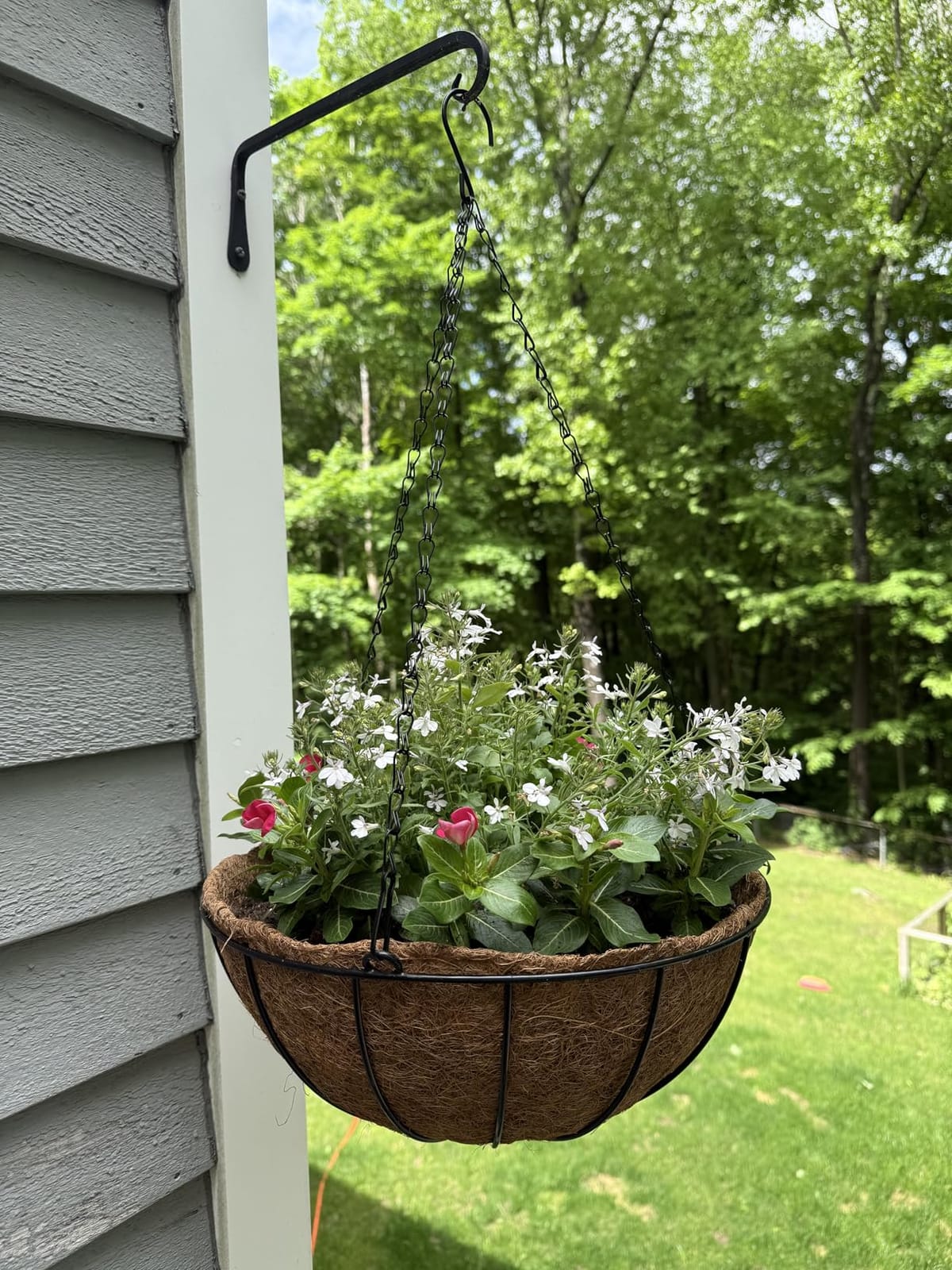 ZeeDix 2 Pack 14 Inch Hanging Baskets for Plants Outdoor, Metal Wire Round Planters with Coco Liner, Hanging Flower Baskets for Home Garden Porch Balcony Railings Decor customer photo 1