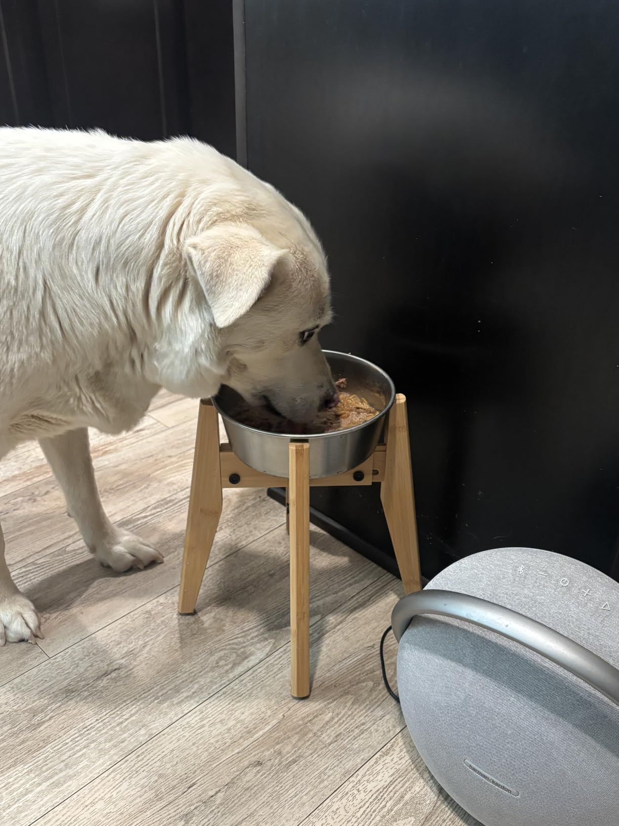 Dog Bowl Stand for Large Dogs - Adjustable, Bamboo customer photo 1