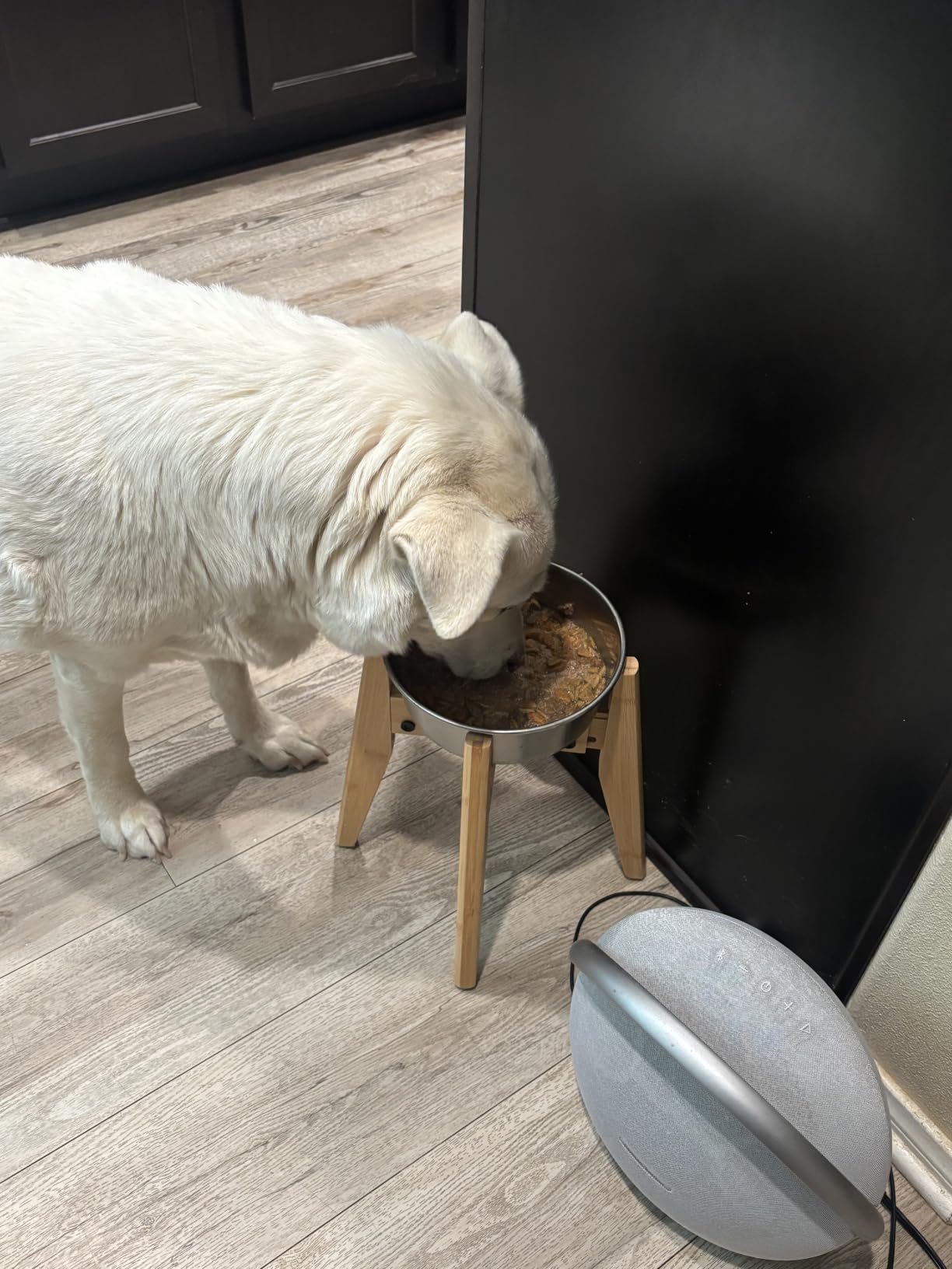 Dog Bowl Stand for Large Dogs - Adjustable, Bamboo customer photo 2