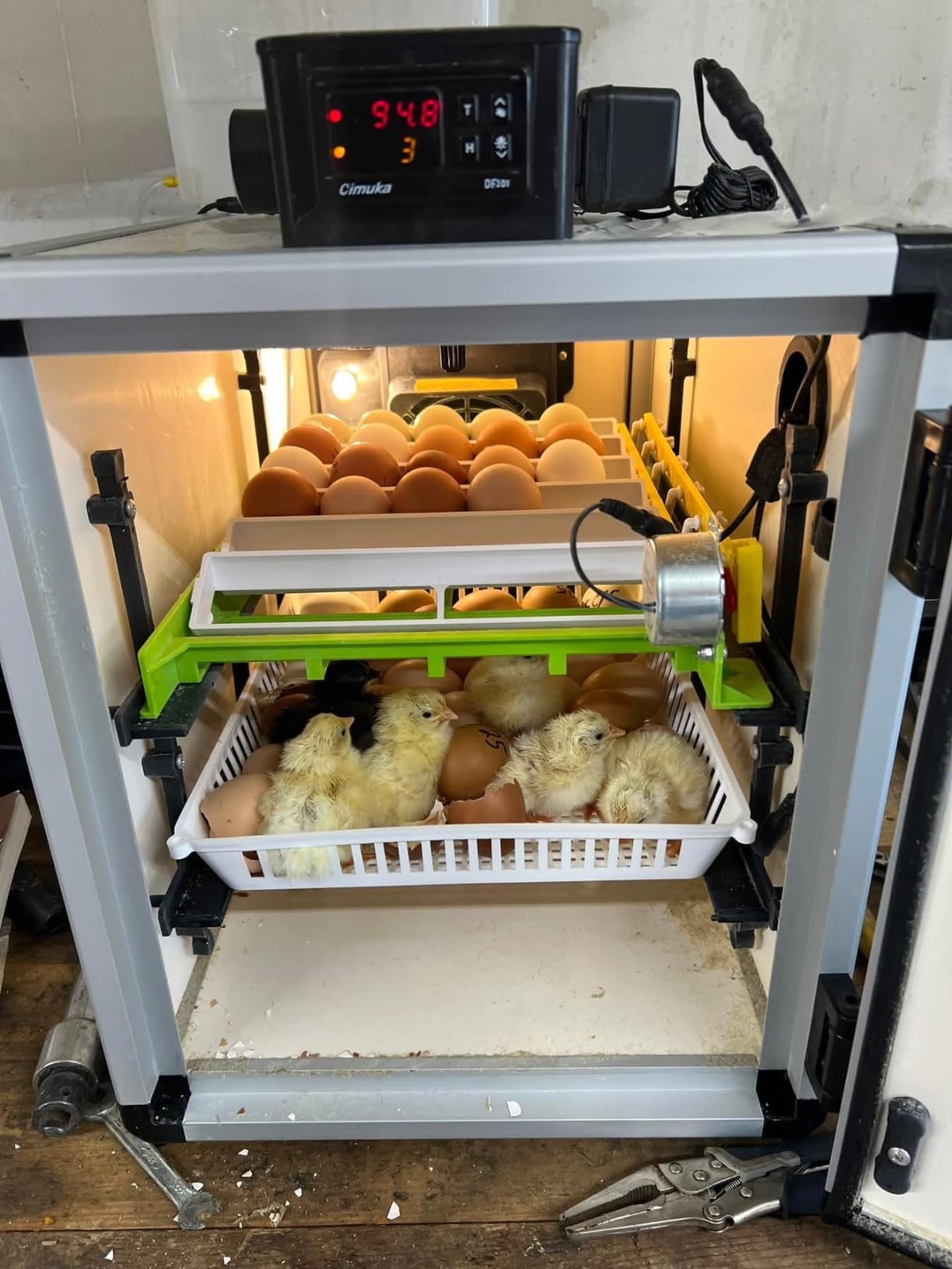 Hatching Time Incubators for Hatching Eggs, CT120SH Egg Setter & Hatcher customer photo 2