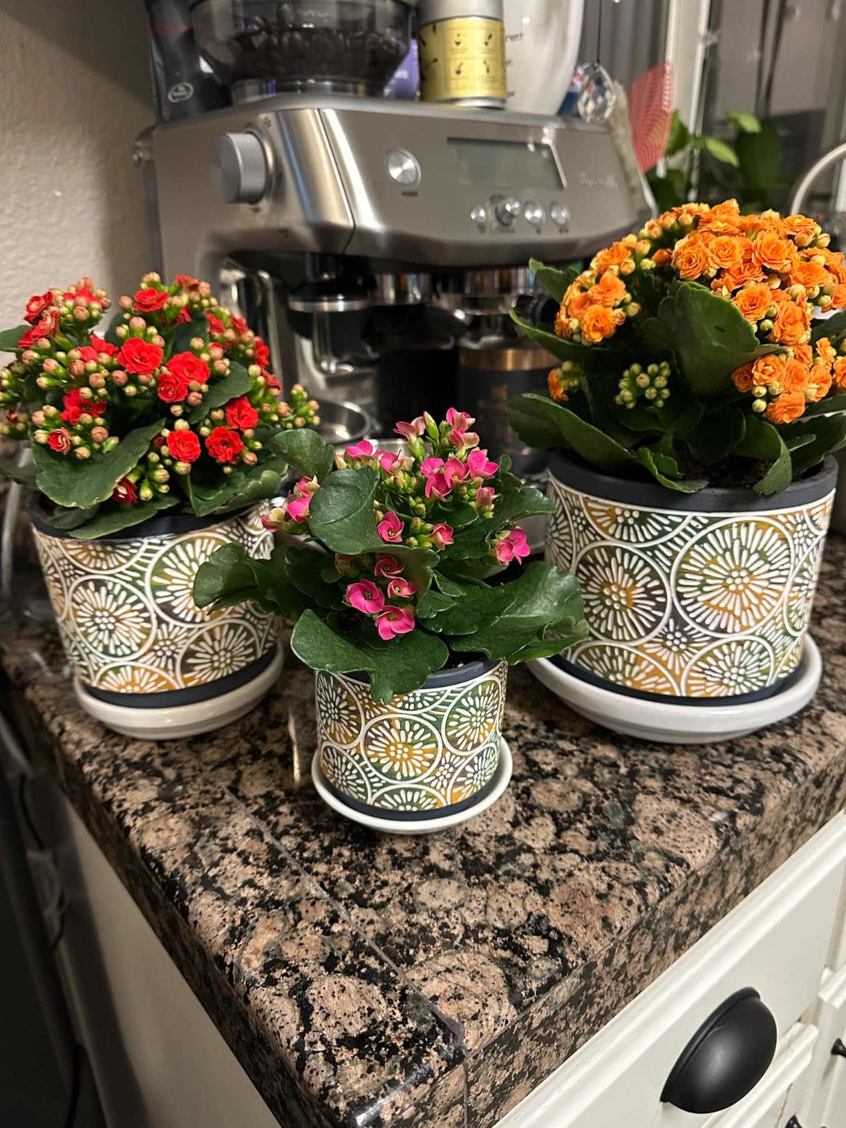 DeeCoo 3 Piece Ceramic Plant pots Indoor Pots Set with Drainage Holes, 5.7/4.7/3.5/inch, Modern Decorative pots Outdoor Plants Lilies, Cacti, Succulents, Snakes, and Bamboo (Blue) customer photo 1