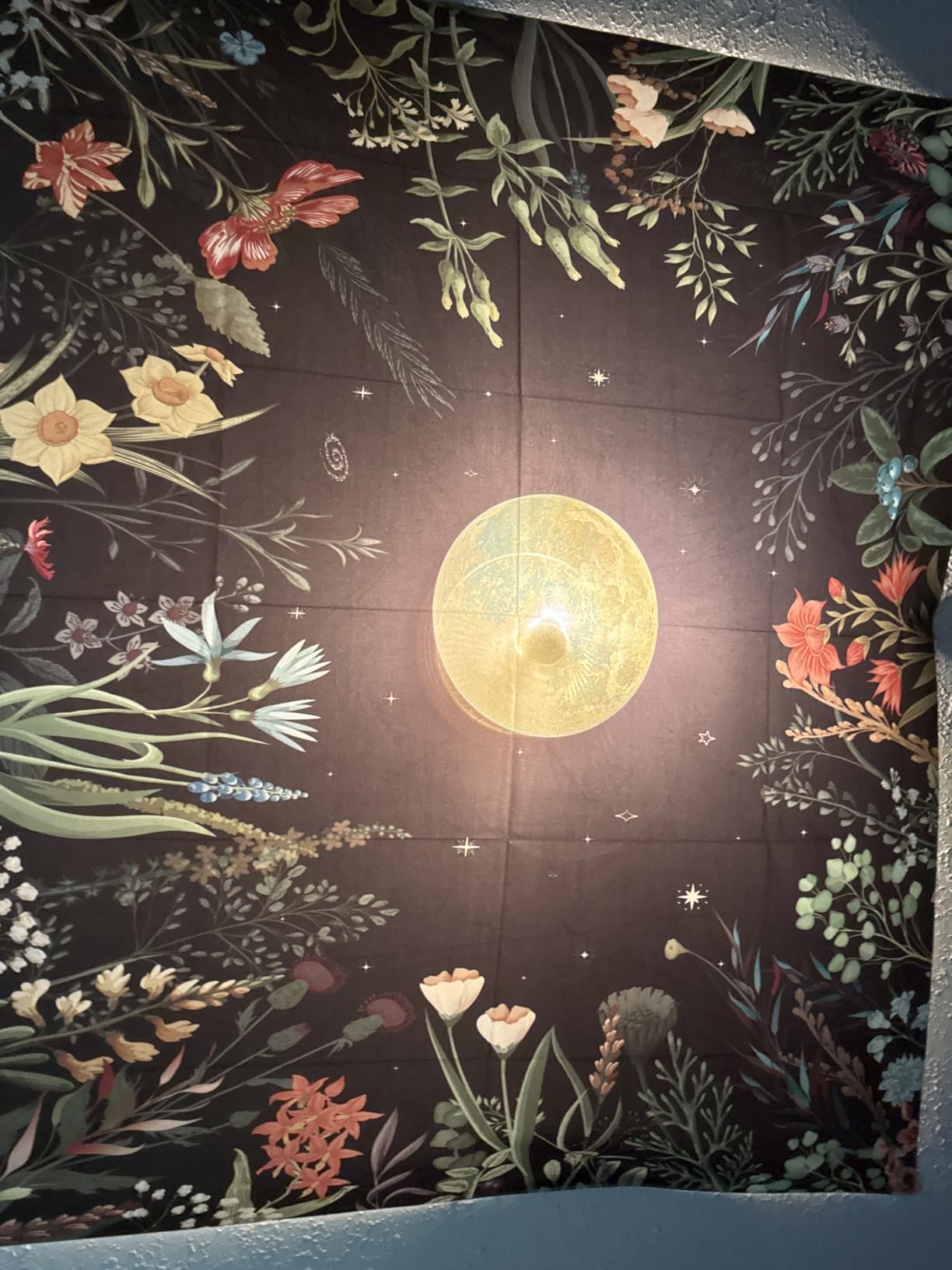 Amhokhui Moonlit Garden Tapestry Boho Moon Tapestry Floral Flower Tapestries Colorful Plants Tapestries Black Wall Hanging Decor for Home customer photo 1