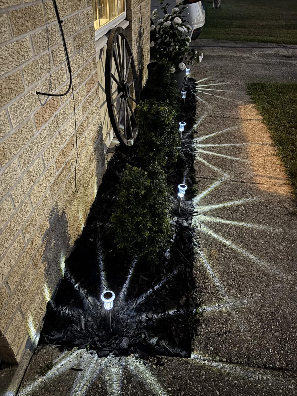 Eyrosa Solar Outdoor Lights, 10 Pack Waterproof Stainless Steel Solar Stake Lights for Pathway Garden Yard Path Walkway Driveway Lawn Patio Outside Decor, Cool White customer photo 1