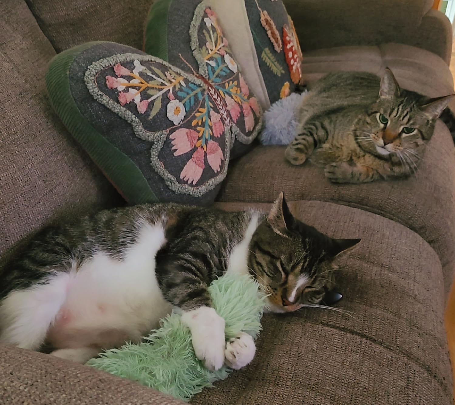 Potaroma Cat Toys Pillows, 3 Pack, Catnip Inside, Indoor Interactive Fun customer photo 1