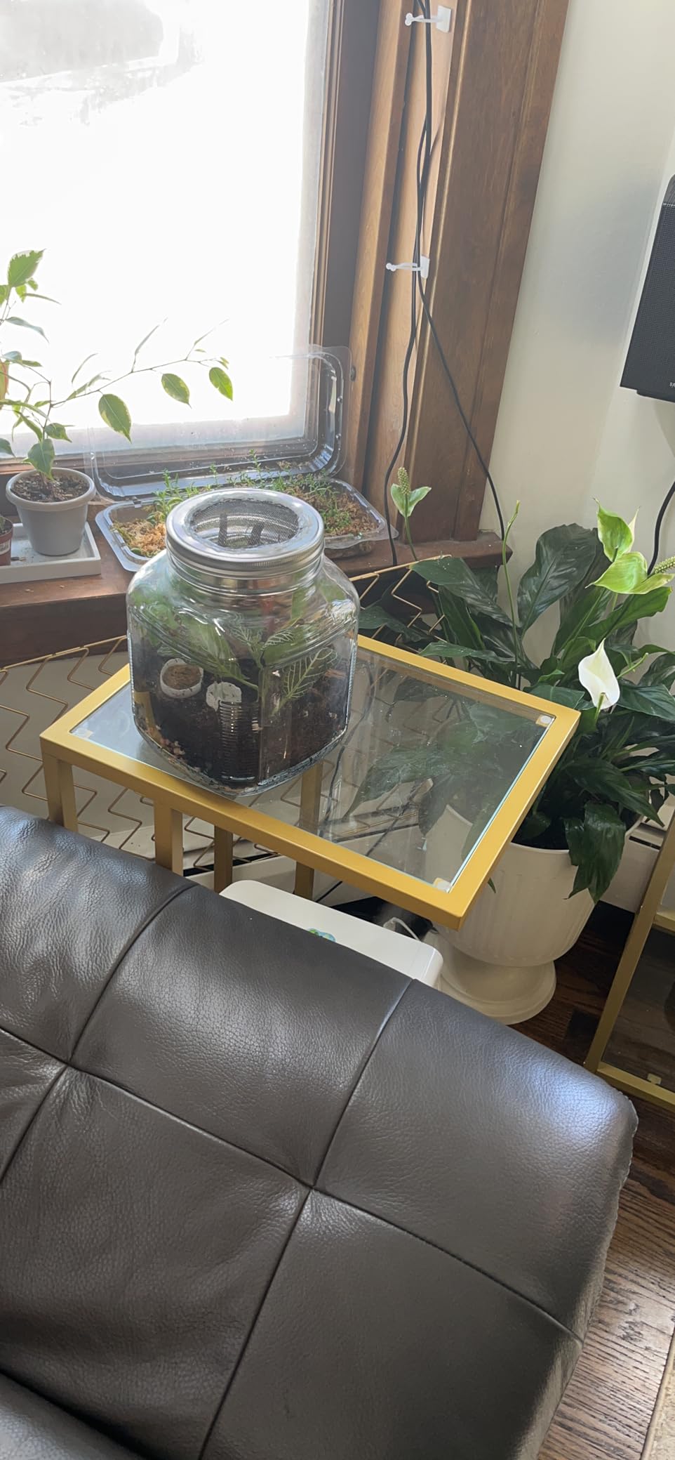 HOOBRO C Shaped End Table, Set of 2, Glass Side Table with Metal Frame | Gold Coffee Table for Small Space, Modern Style, for Living Room, Bedroom and Office, Gold GD03SFP201 customer photo 1
