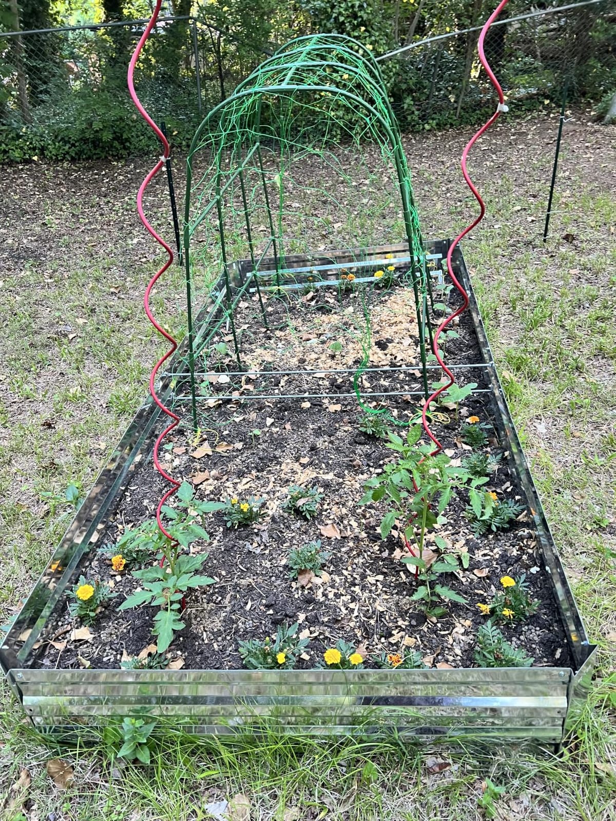 2-Pack Galvanized Raised Garden Bed 8x4x1ft customer photo 2