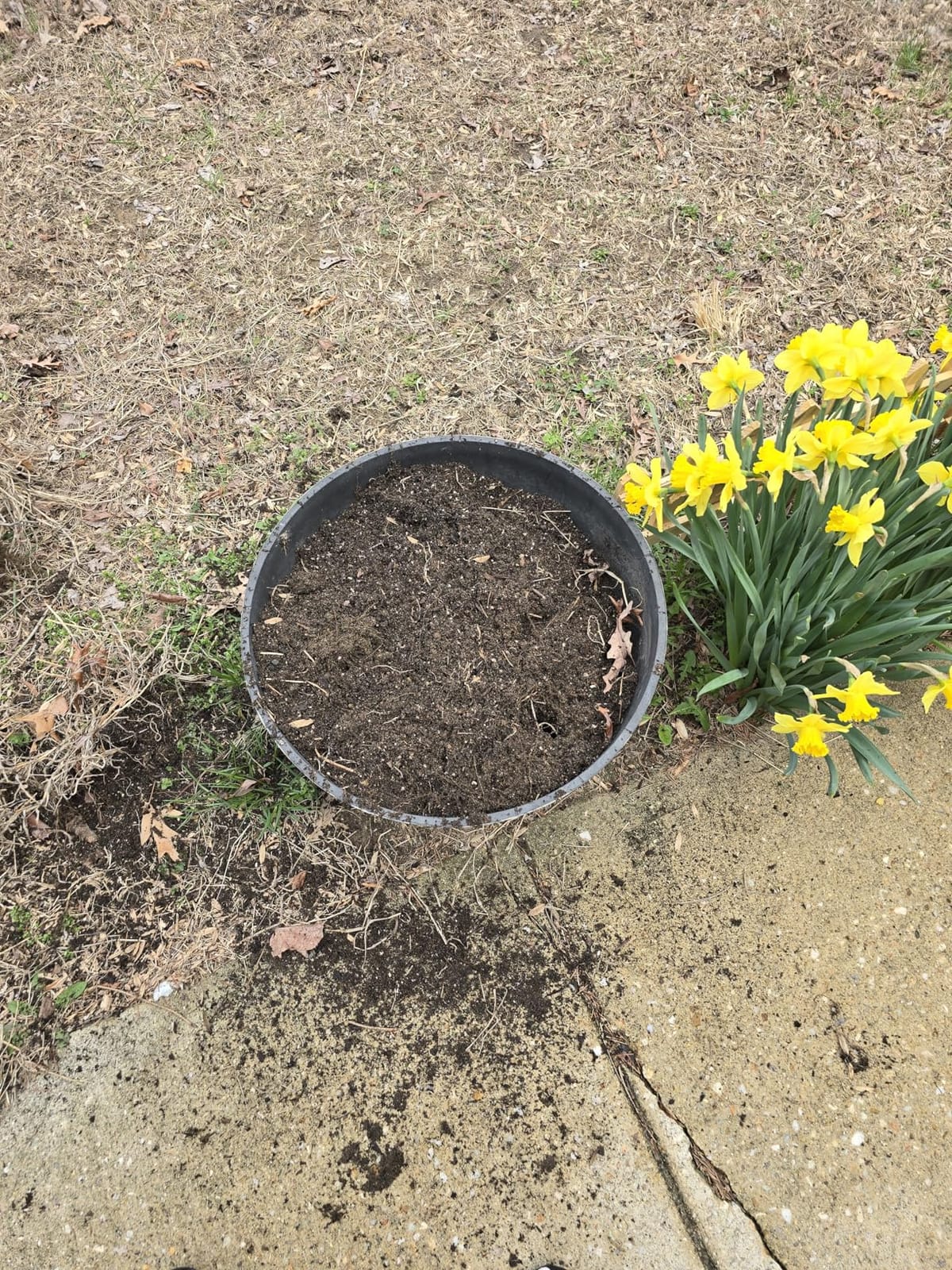 Walensee Twist Tiller with Large Steel Claw for Garden Soil Loosening customer photo 2