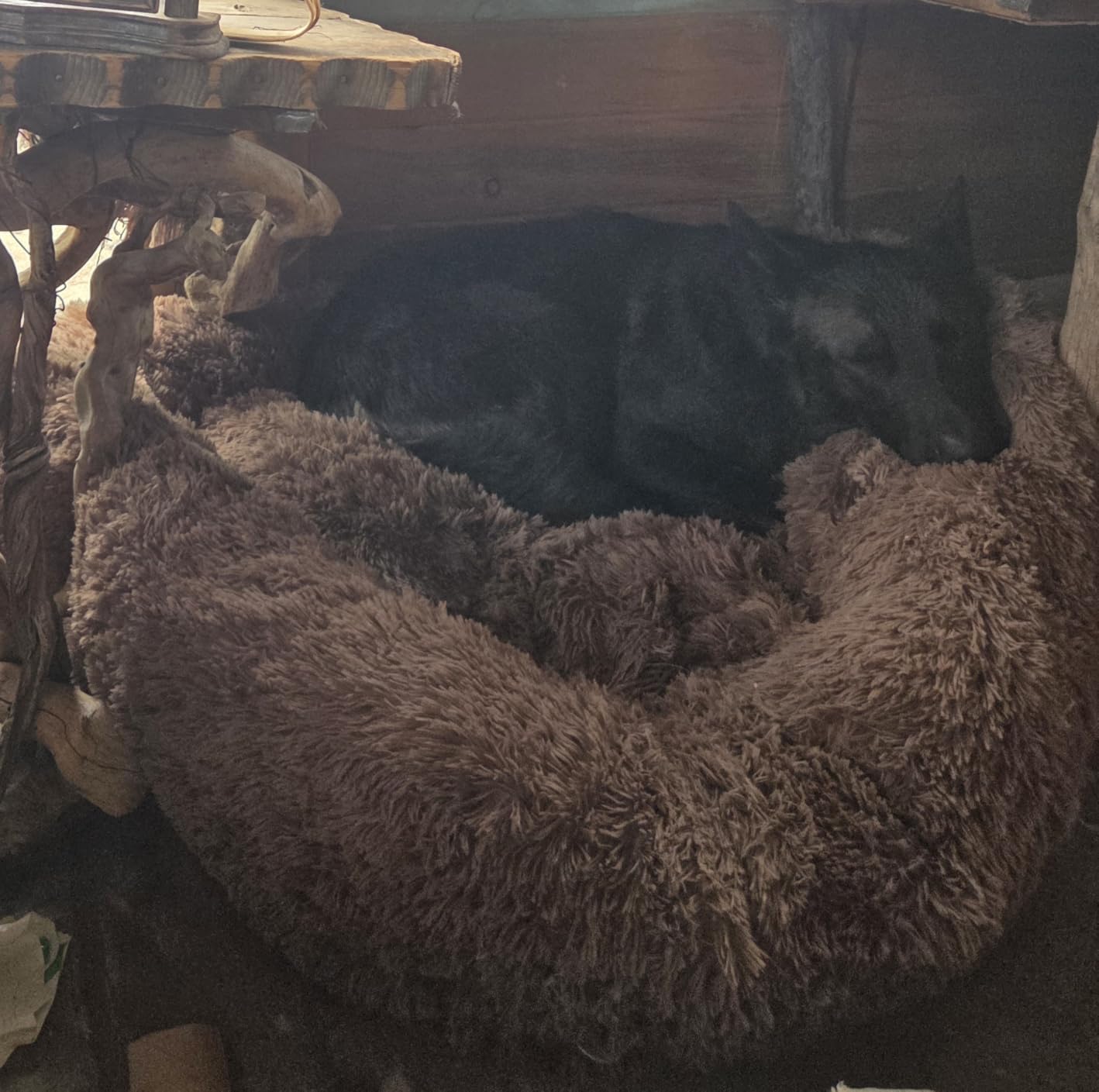 SAVFOX 20 inches Calming Donut Dog Bed - 3X Durable Plush Faux Fur, Machine Washable & Non-Slip, Fits up to 15 lbs, Light Grey customer photo 2