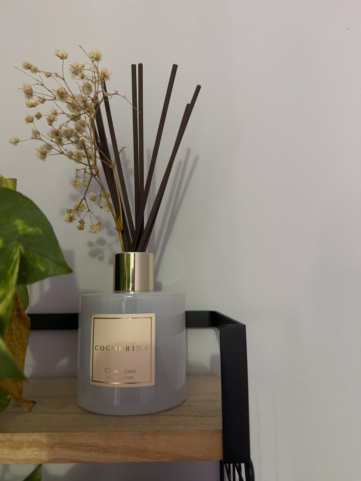 Cocorrína Reed Diffuser Set, Clean Linen 6.7 fl oz Scented Diffuser with Sticks Home Fragrance Reed Diffuser for Bathroom Shelf Décor customer photo 2