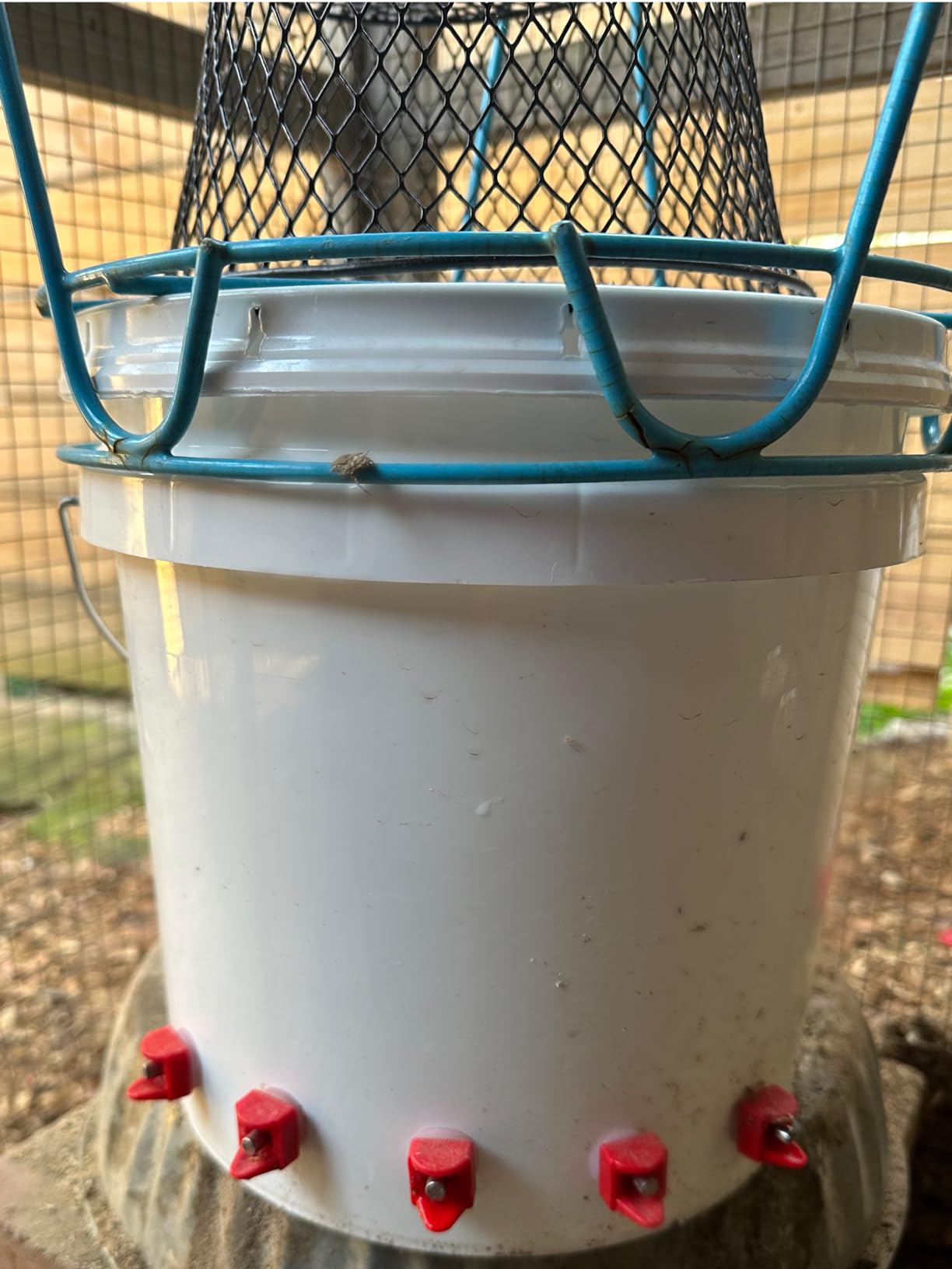 Horizontal Chicken Water Nipples Automatic Poultry Waterer Nipples Kit Drinker with Drill Bit(10) customer photo 1
