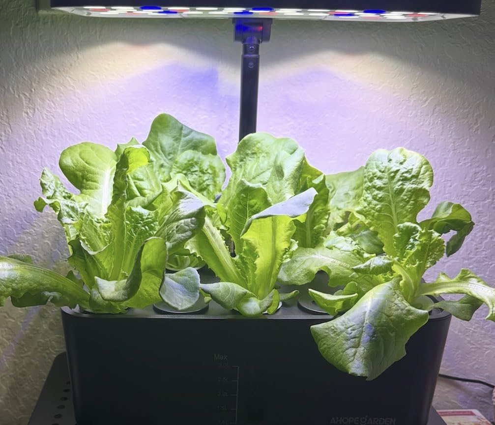 Ahopegarden Indoor Garden Hydroponics Growing System: 10 Pods Kit with LED customer photo 2