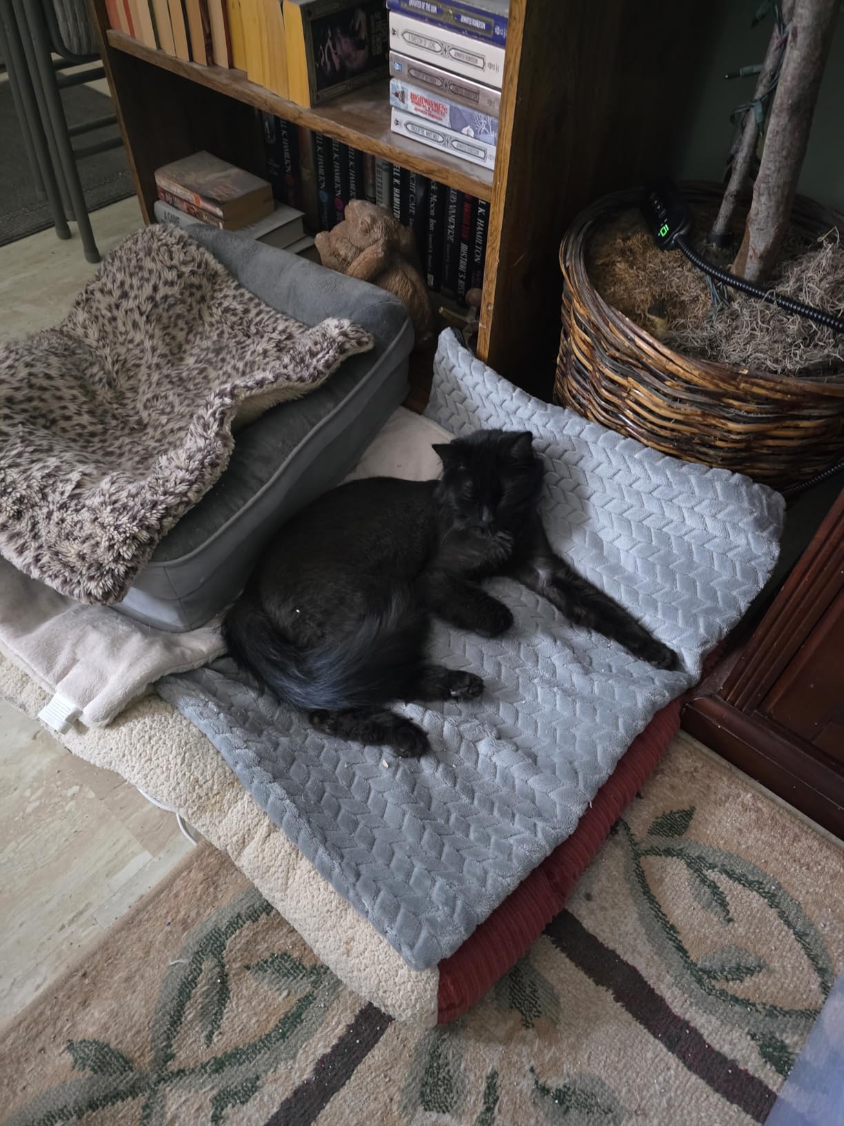 GASUR Heated Dog Bed, 28''x20'' Waterproof Cat Heating Pad with Timer Temperature Adjustable, Indoor Heated Electric Pet Bed for Cats Dogs, Auto Power-Off, Anti-bite Pet Heated Pad, Medium customer photo 2