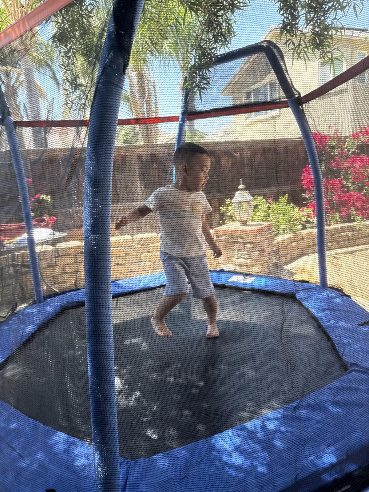 Giantex 7 Ft Trampoline for Kids, Heavy Duty Steel Frame Small Mini Toddler Trampoline, Great Gifts for Boys Girls, Outdoor Indoor Kids Trampoline with Net, for Age 3-8 customer photo 1