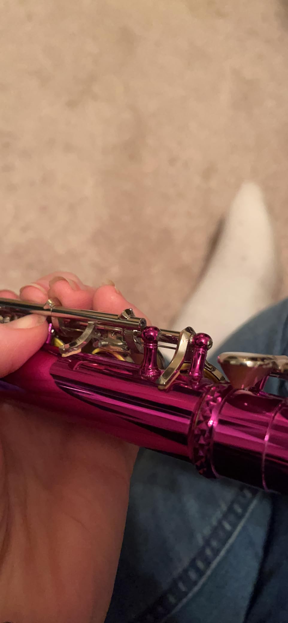 Rhythm C Flutes with Engraved Flower Closed Hole 16 Keys Flute For Student, Beginner with Stand, Carrying Case,Gloves,Joint Grease, Tuning Rod, Nickel customer photo 1
