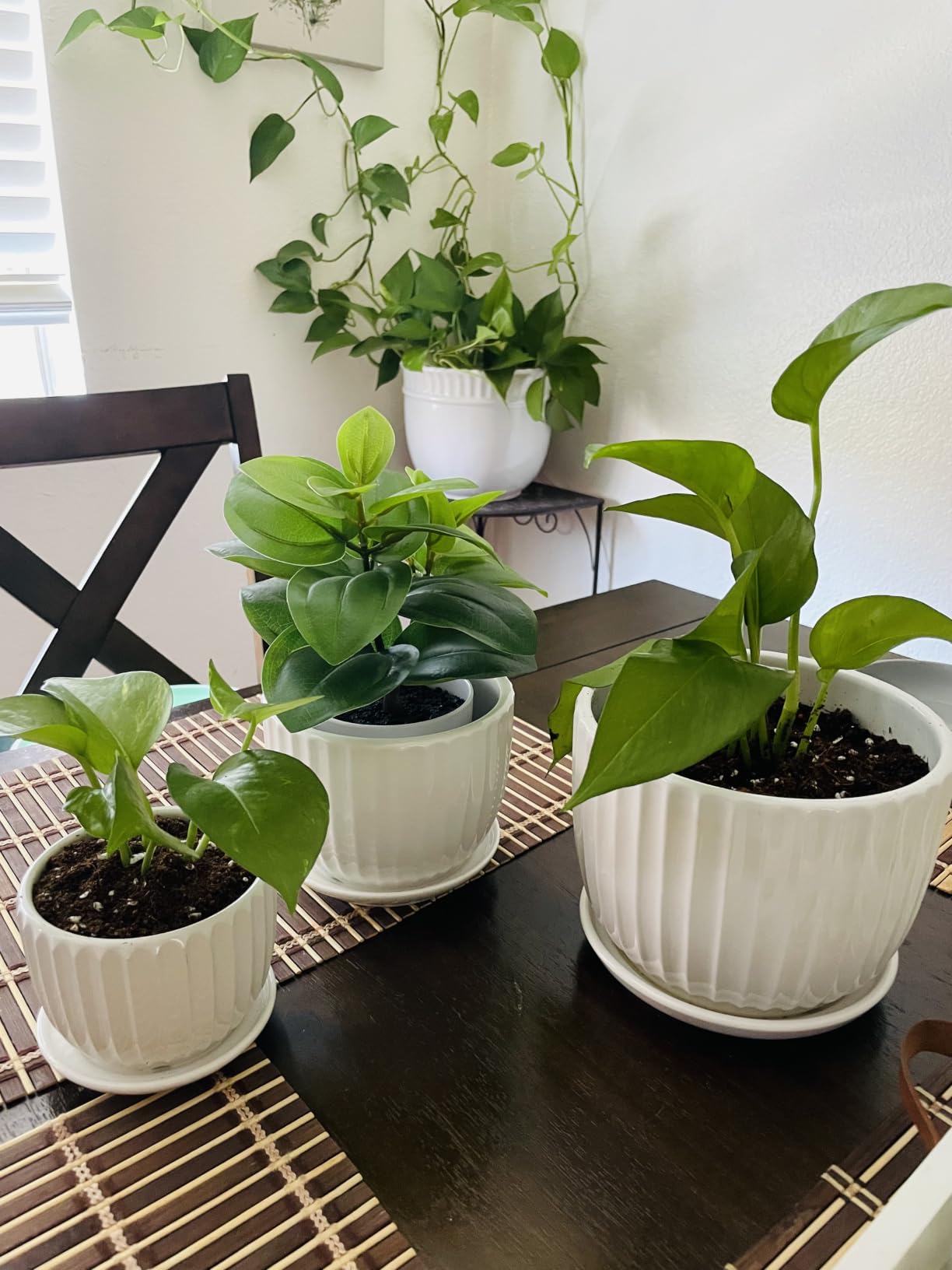 Gray Flower Pots, Texture Ceramic Plant Pots for Indoor Plants Set of 3 customer photo 2