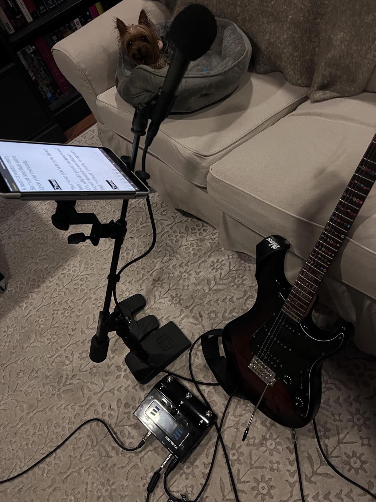 Elgato XLR Cable, Shielded Microphone Cable, 10ft customer photo 2