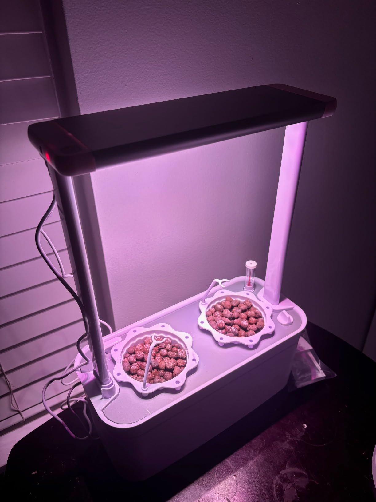 Tall Hydroponics Growing System kit with Height Adjustable Light & Trellis customer photo 1