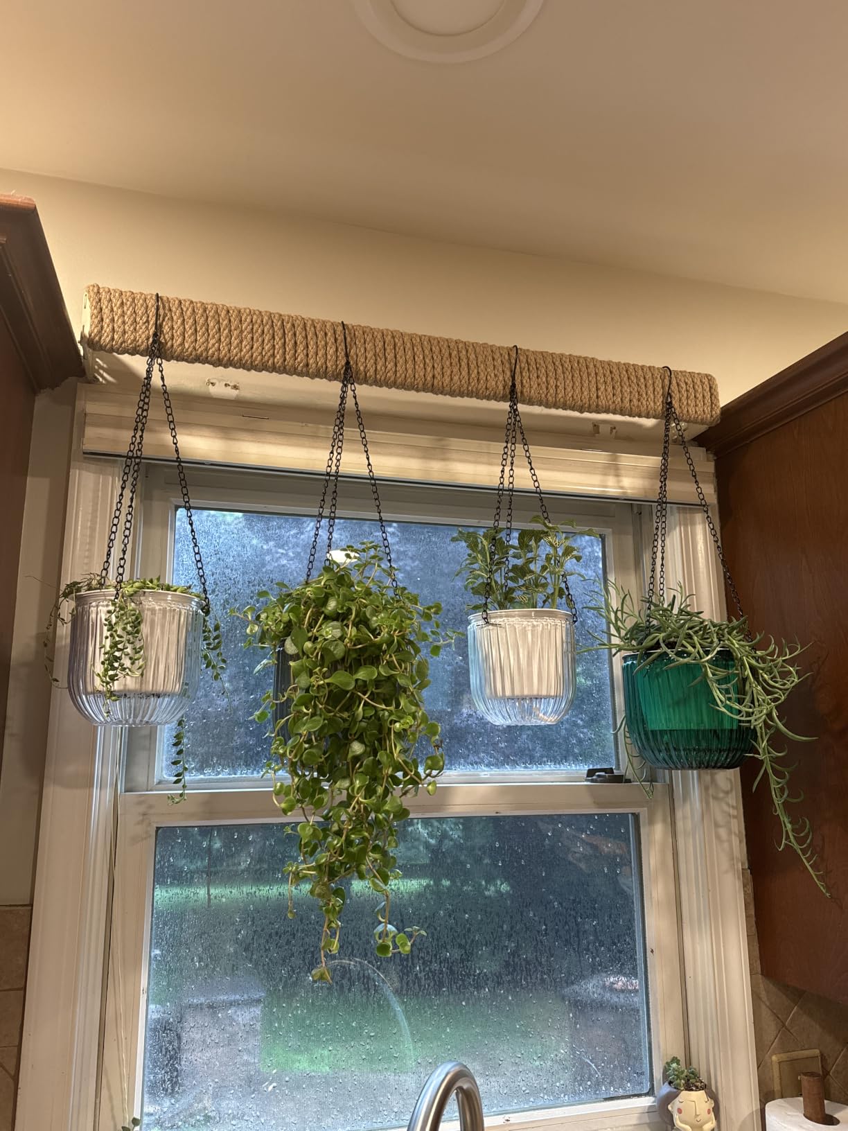 Melphoe 2 Pack Self Watering Hanging Planters Indoor Flower Pots, 6.5 Inch Outdoor Hanging Basket, Plant Hanger with 3Hooks Drainage Holes for Garden Home (Emerald) customer photo 2