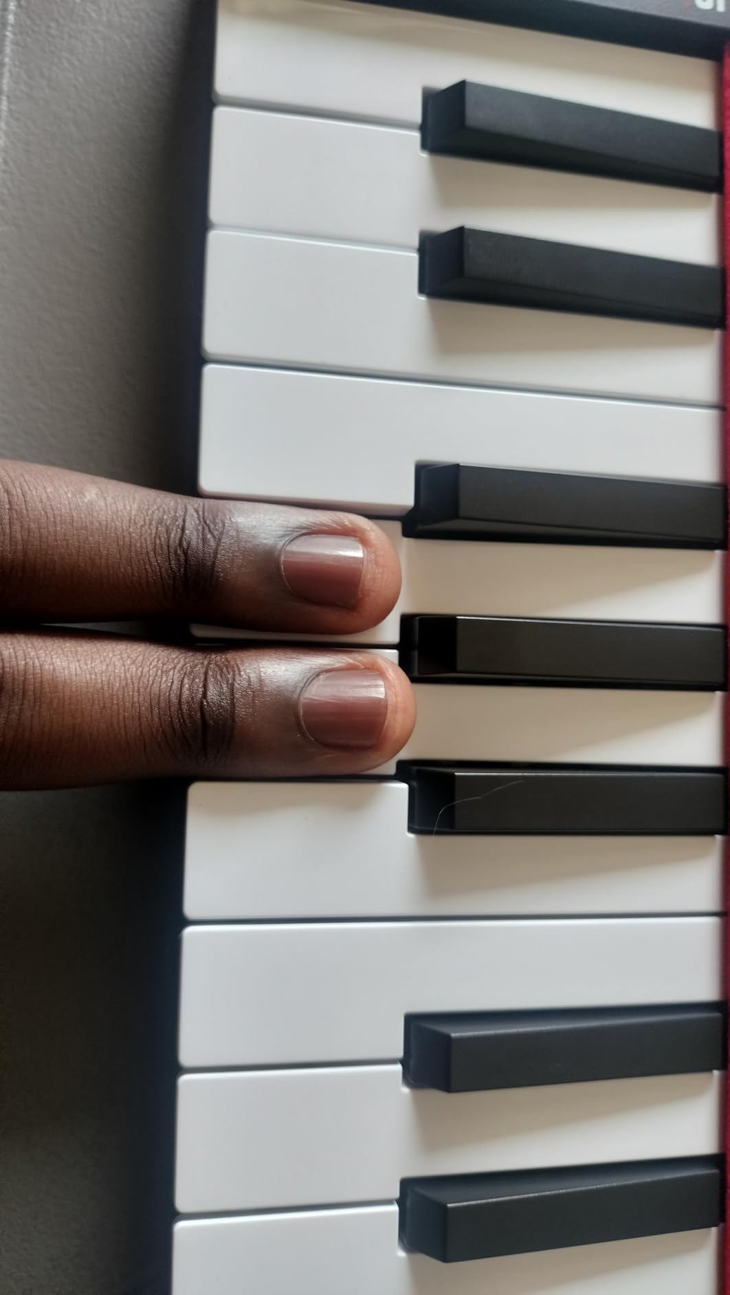 Akai Professional LPK25 25-Key USB MIDI Keyboard Controller with Velocity-Sensitive Mini Keys, Arpeggiator, Universal DAW Compatibility customer photo 2