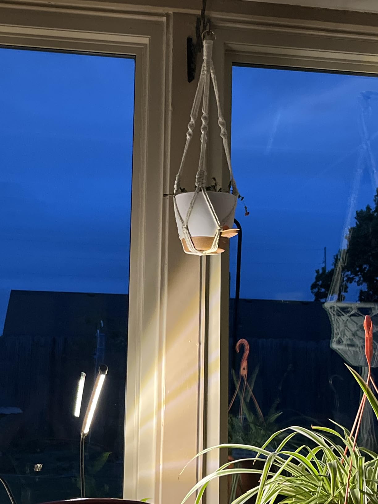 Bouqlife 3 Set Self Watering Hanging Planters for Indoor Plants customer photo 1