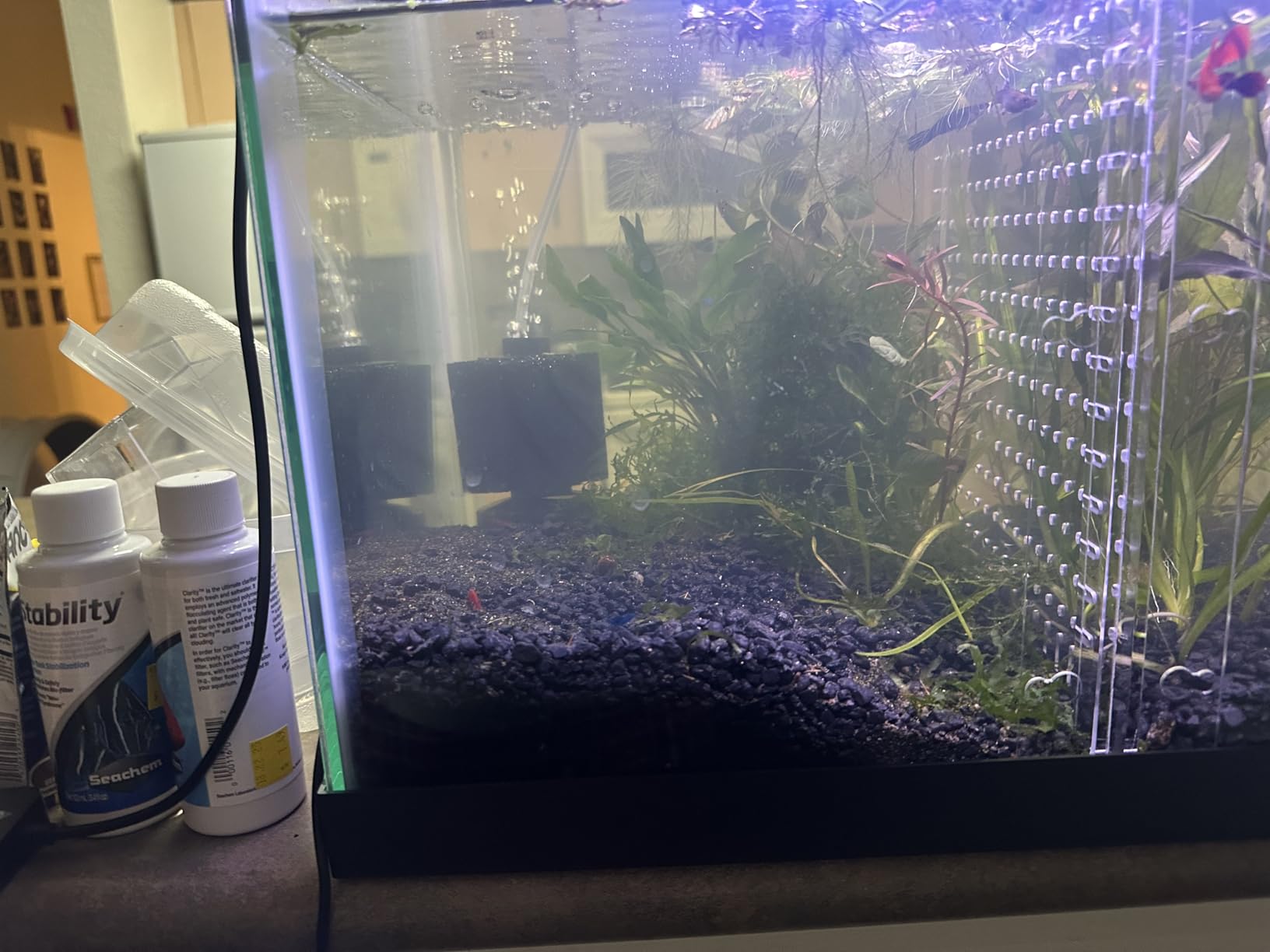 AQUANEAT Aquarium Air Pump for 20-210 Gallon Tank, Fish Air Bubbler, Hydroponic Oxygen Aerator with Stones, Airline Tubing, Check Valves customer photo 1