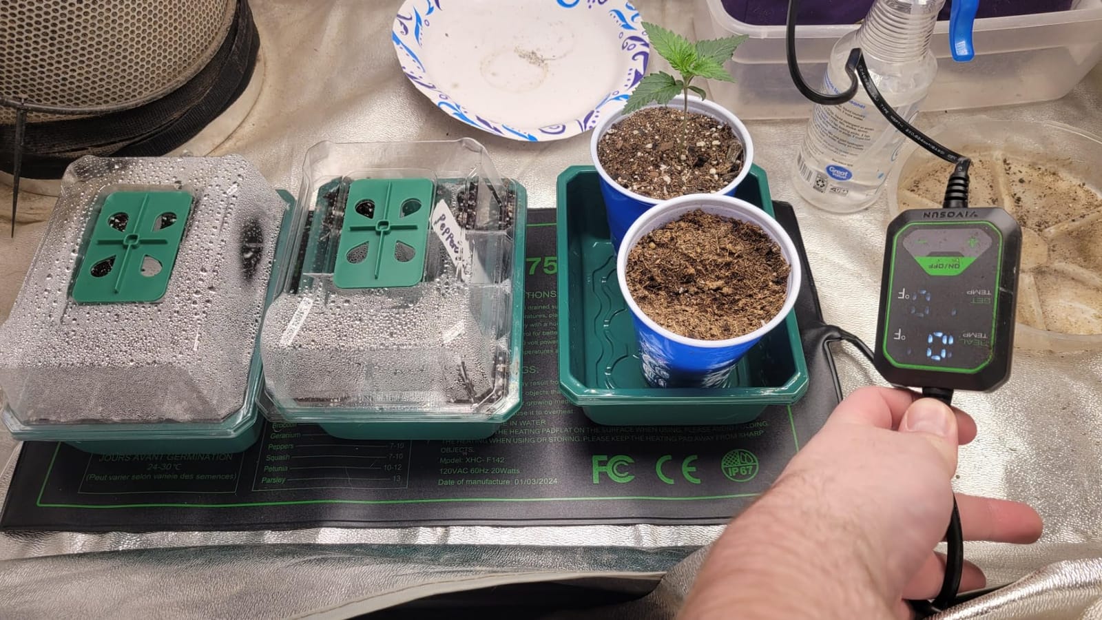 VIVOSUN 6-Pack Seed Starter Trays & 10